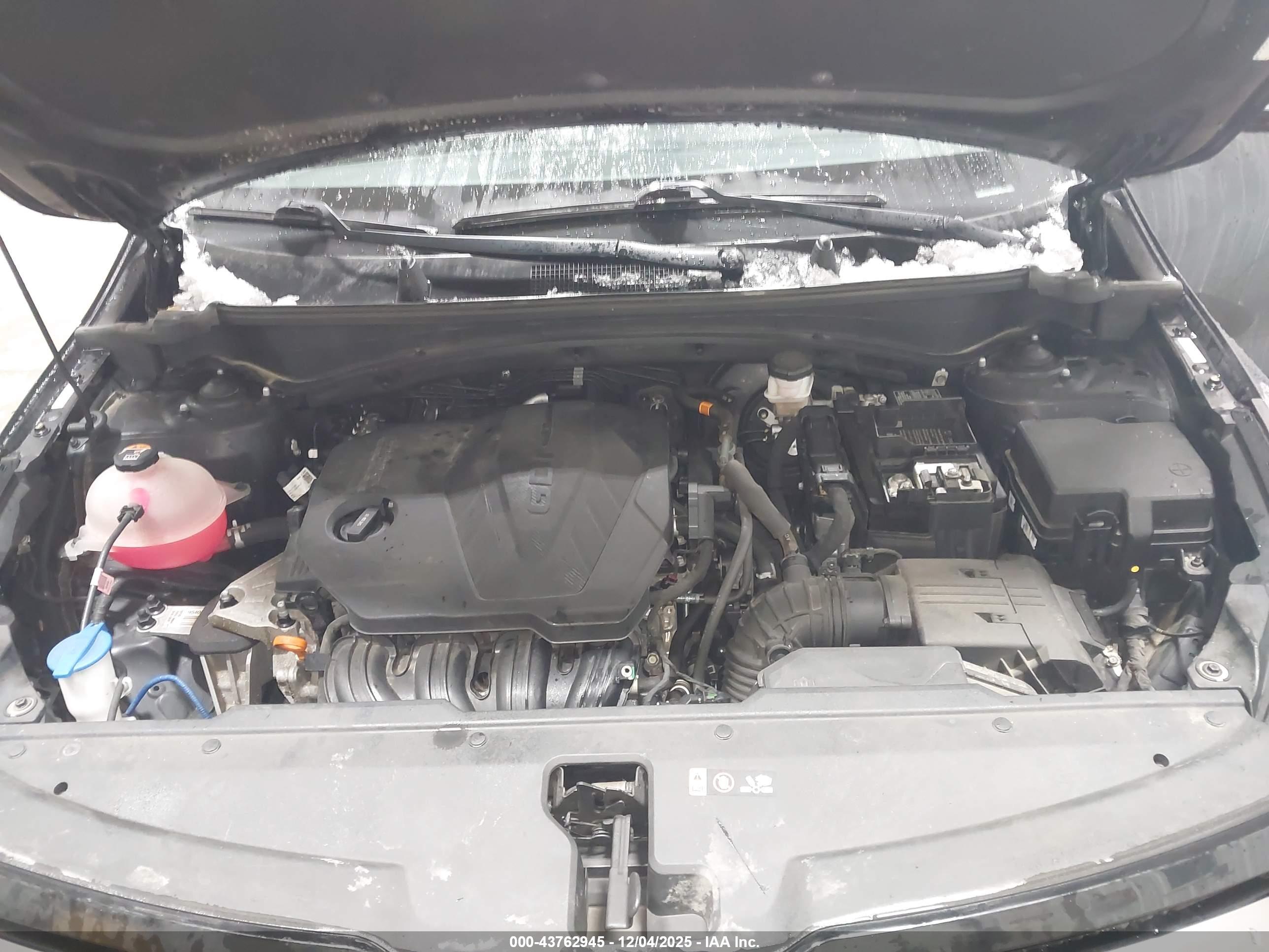 KIA SPORTAGE image 10
