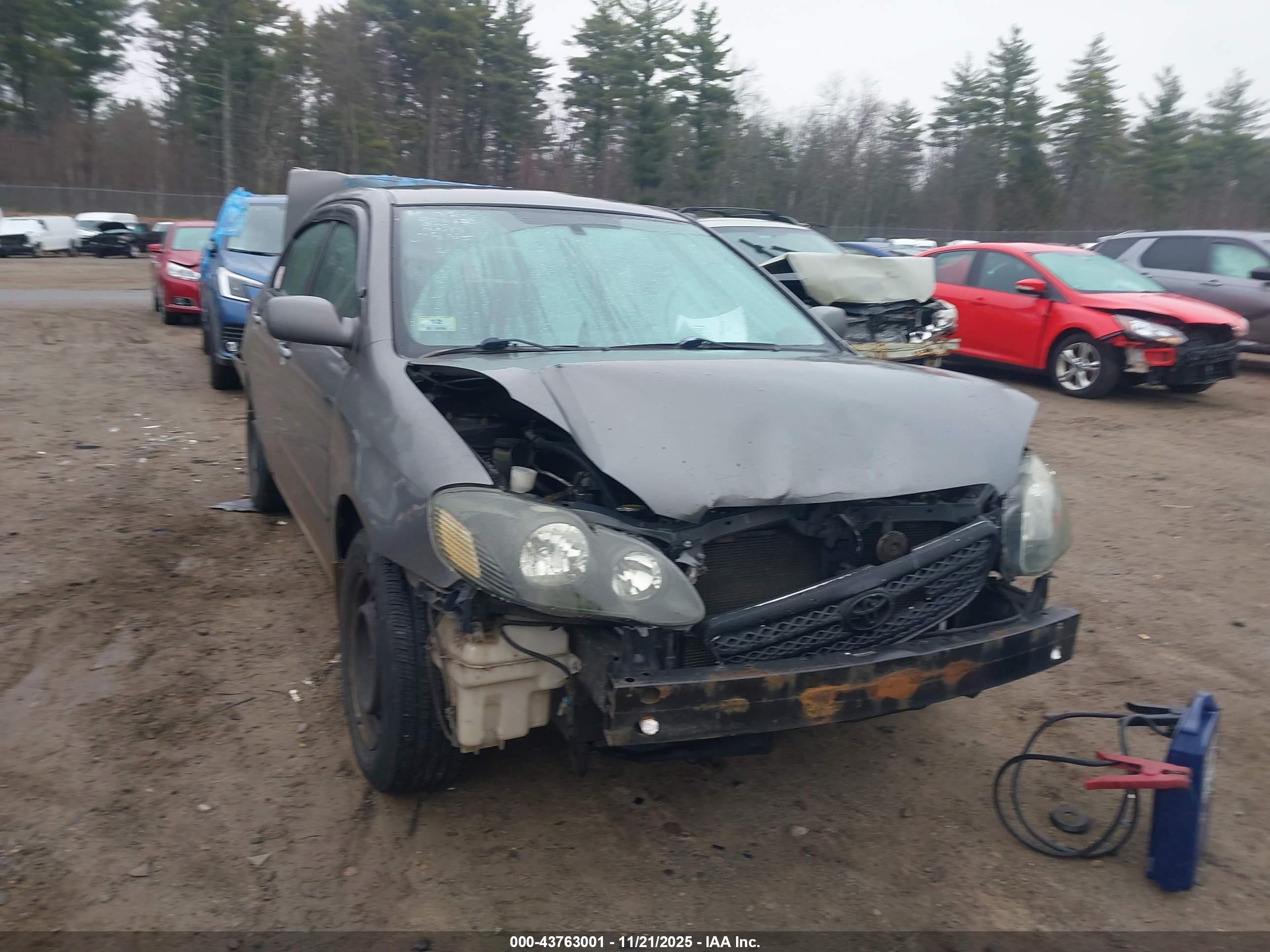 TOYOTA COROLLA image 6