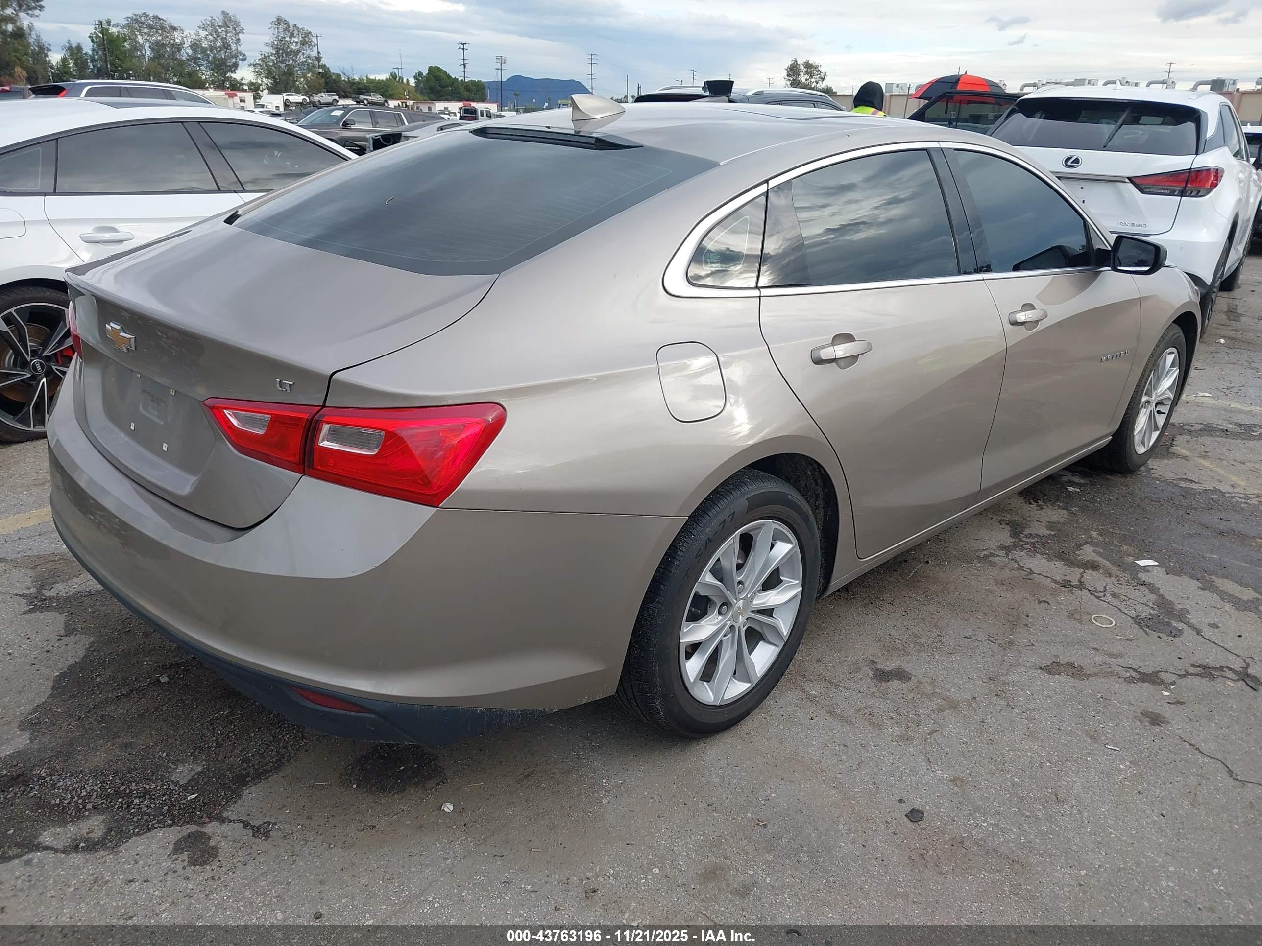 CHEVROLET MALIBU image 4