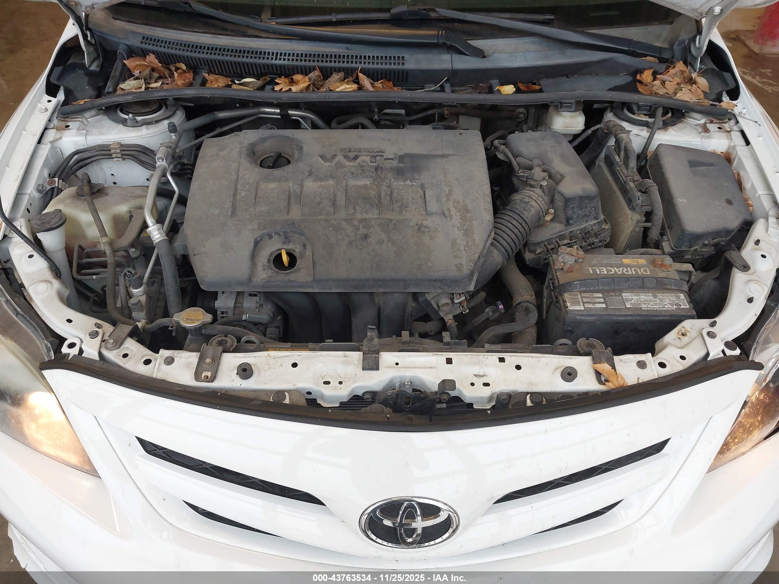 TOYOTA COROLLA image 10