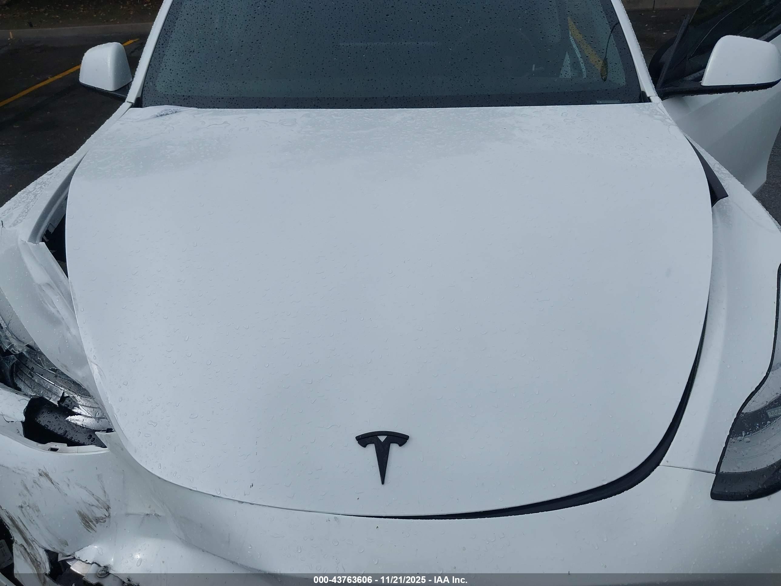 TESLA MODEL image 10