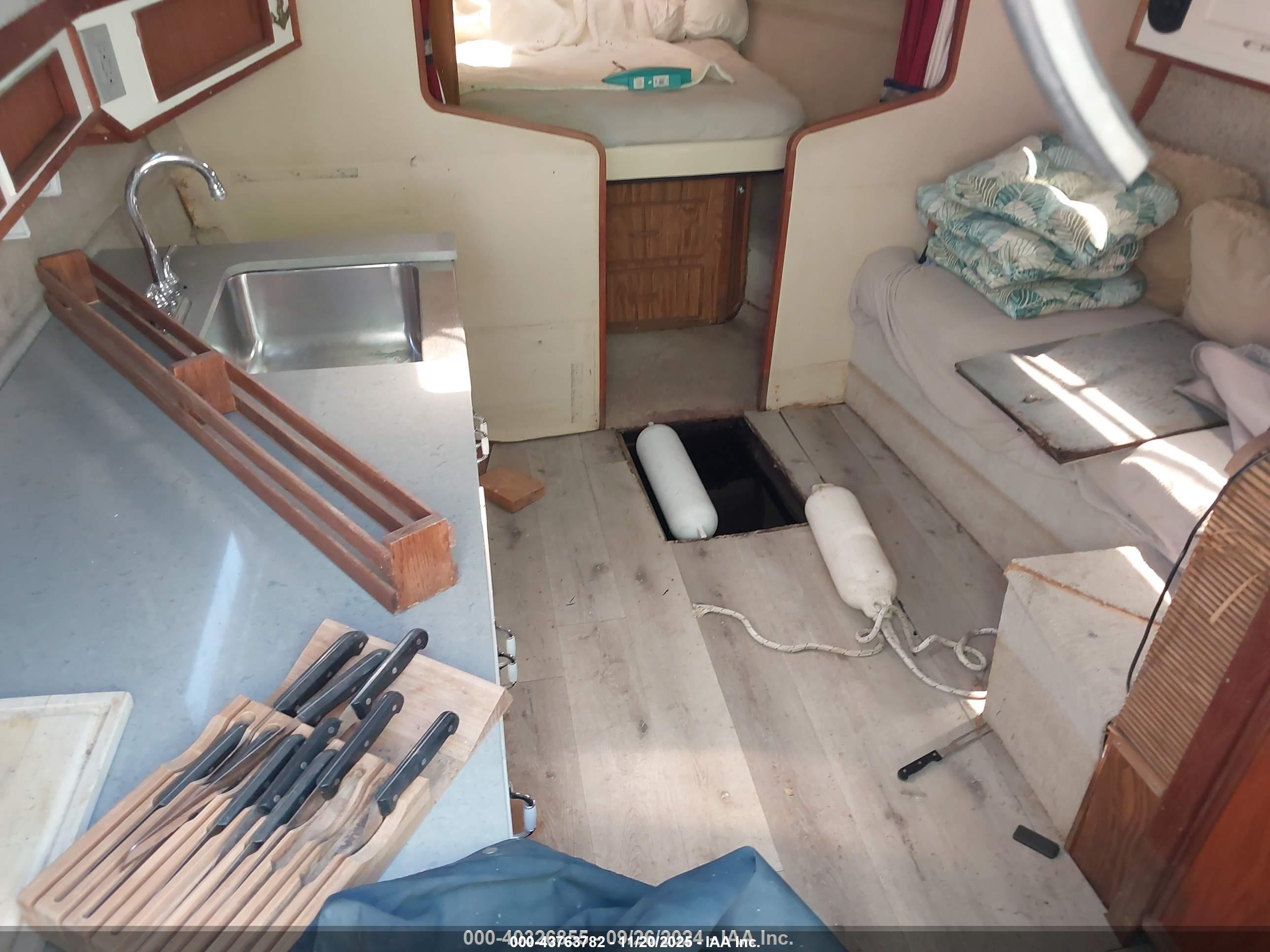 SEA RAY image 5