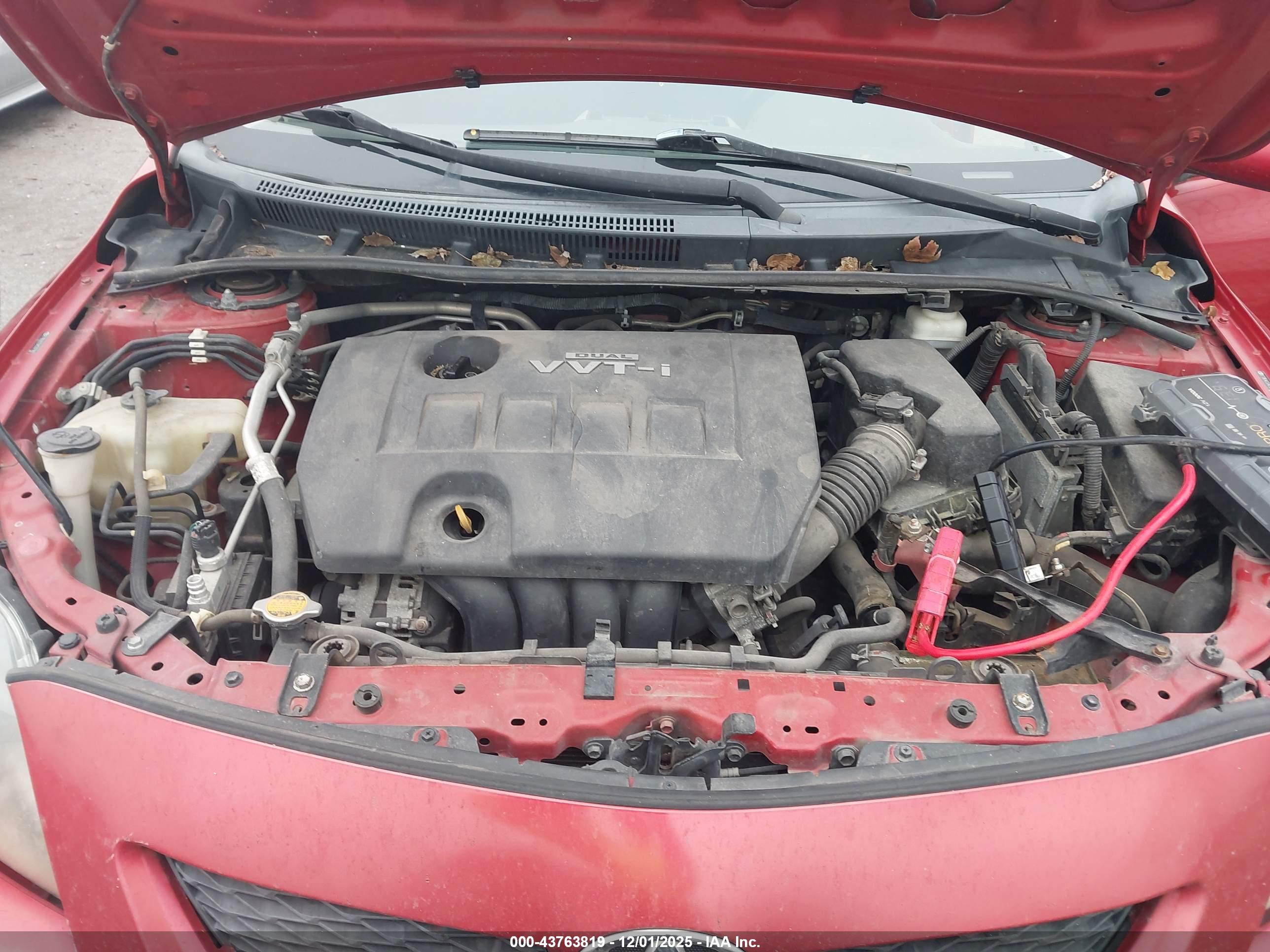 TOYOTA COROLLA image 10
