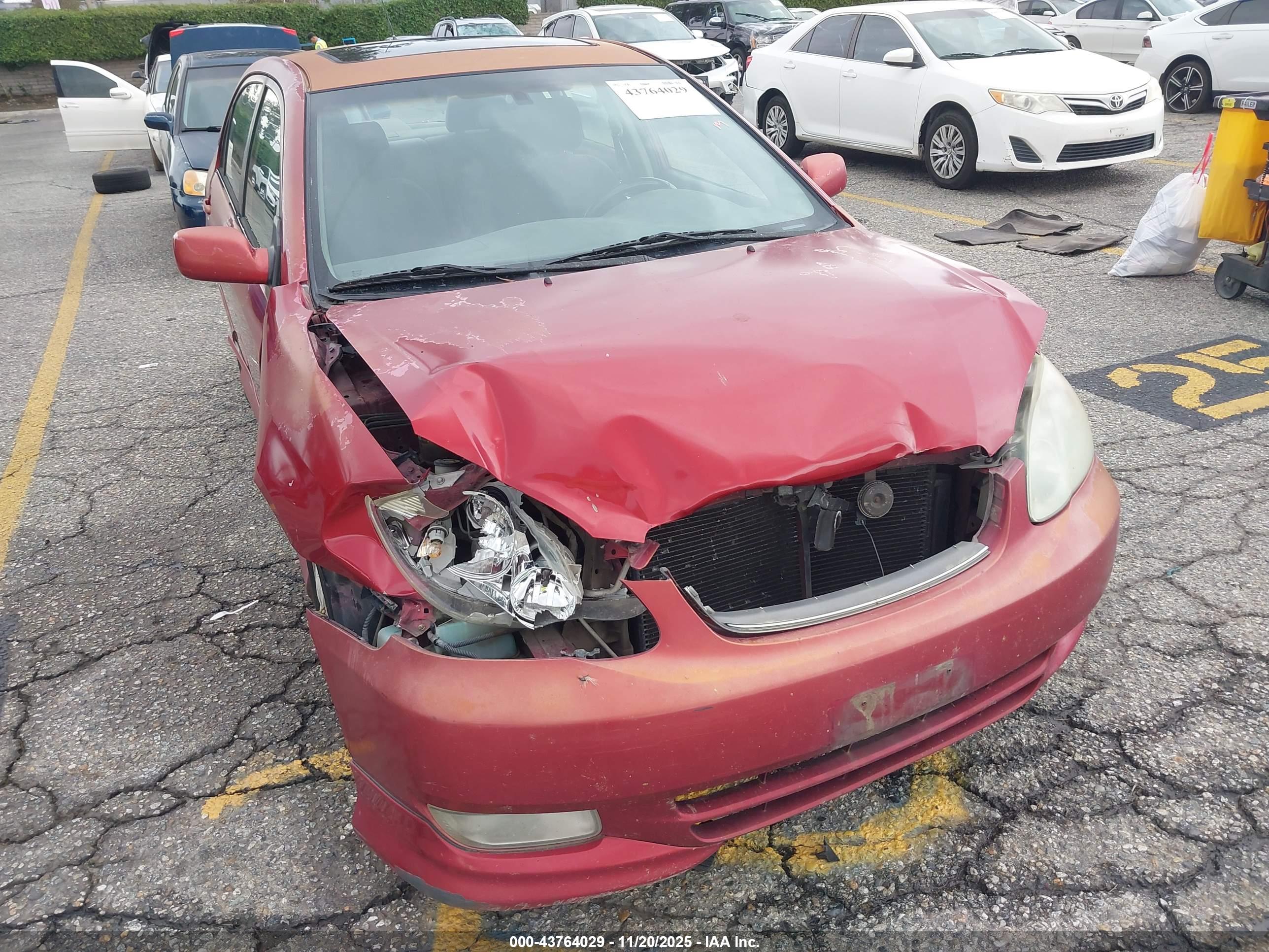 TOYOTA COROLLA image 6