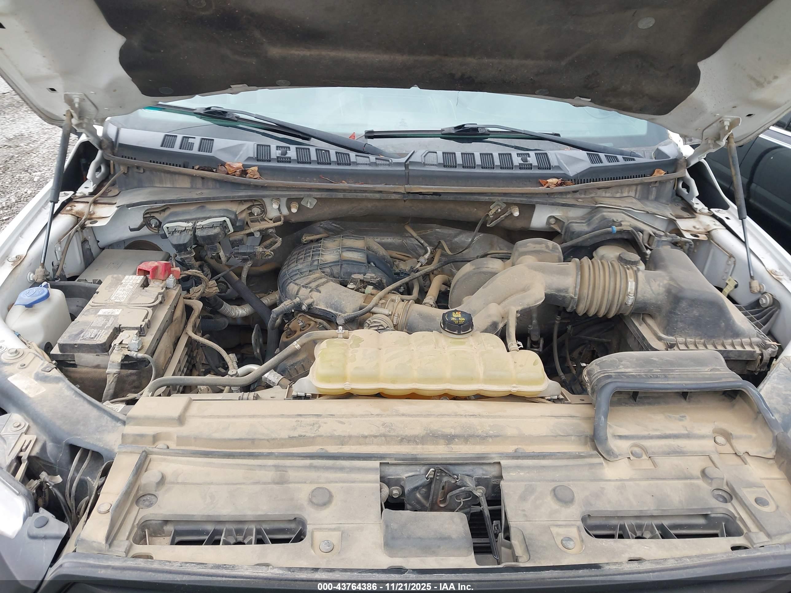 FORD F-150 image 10