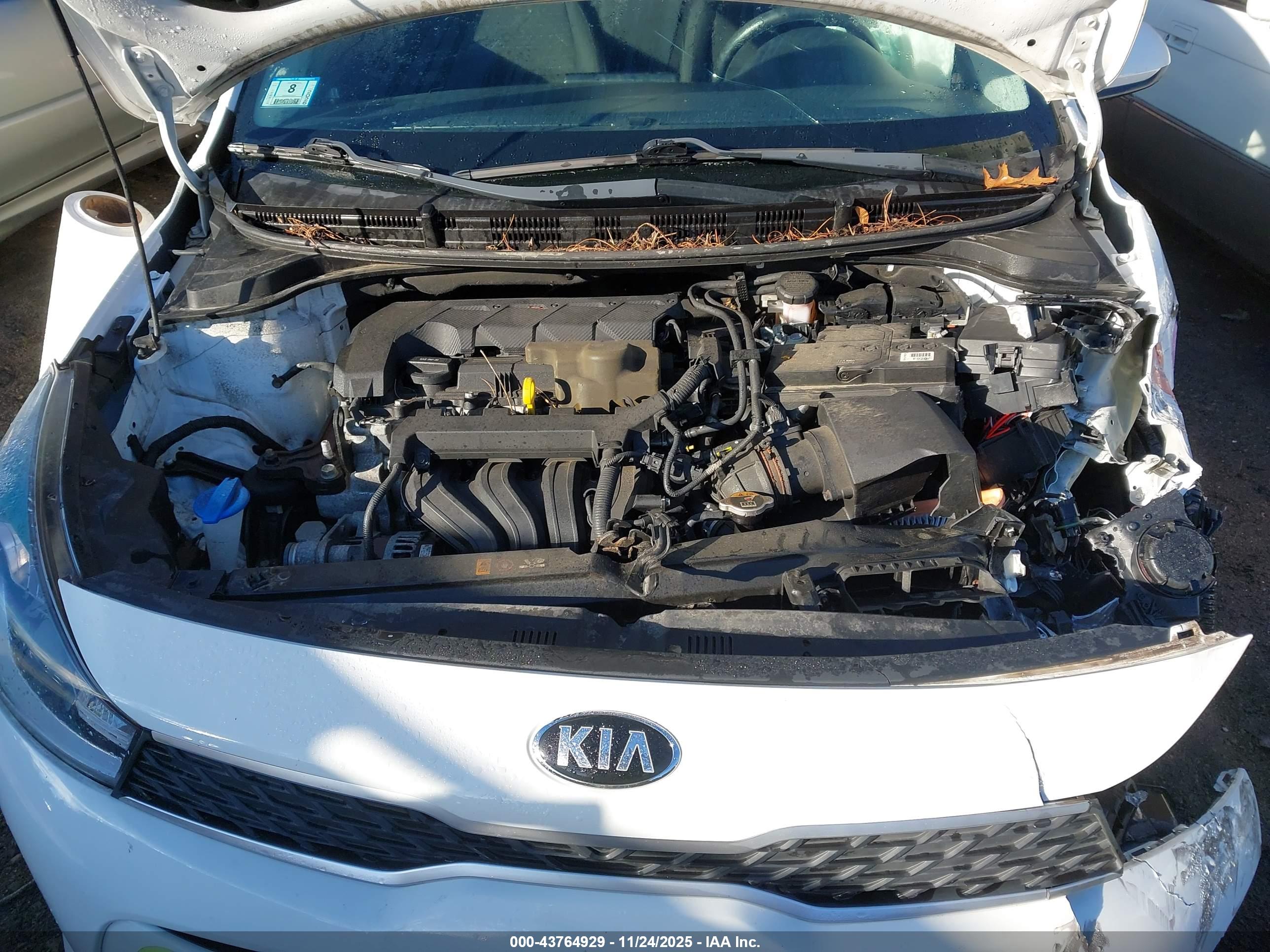 KIA RIO image 10
