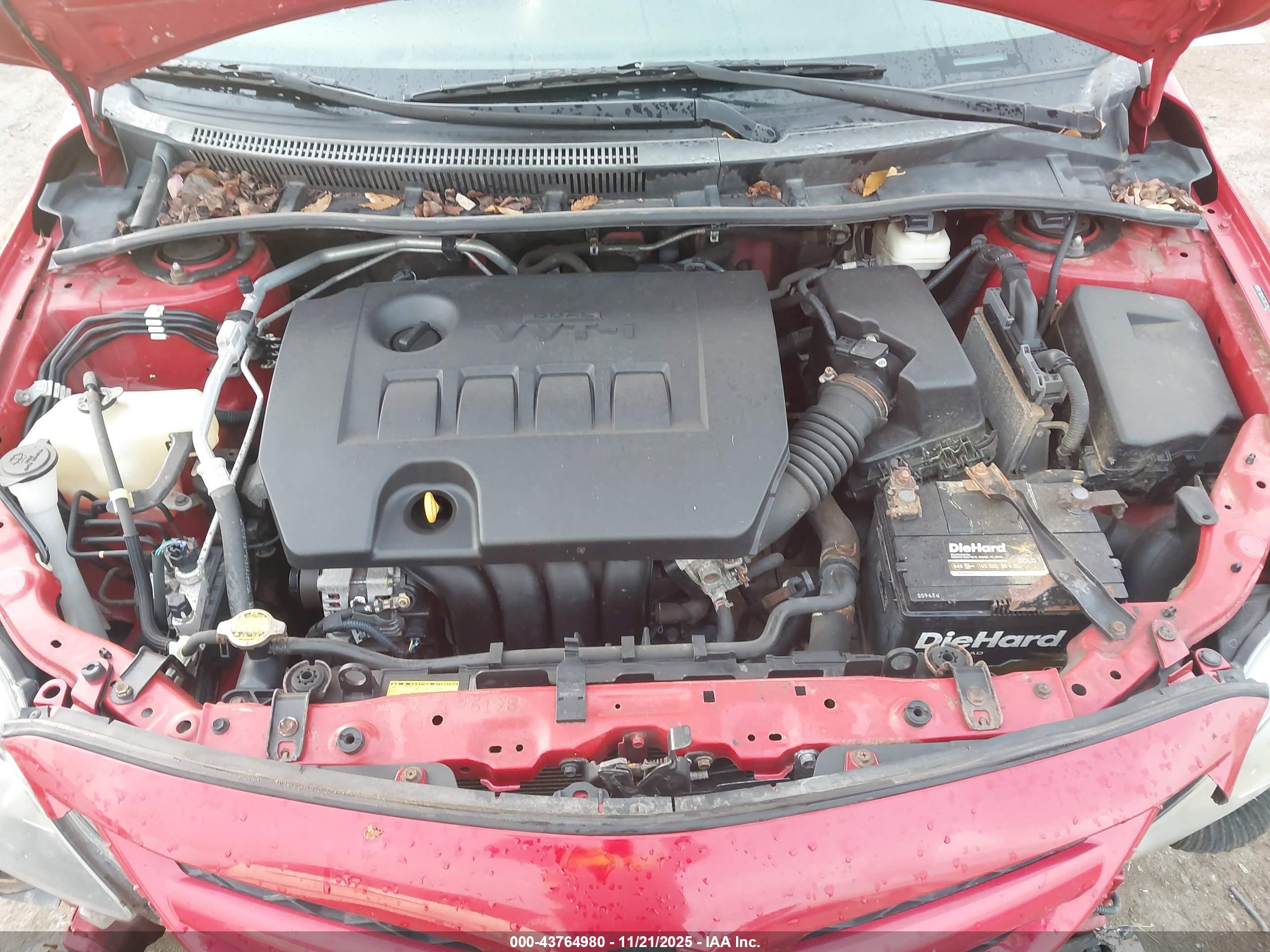 TOYOTA COROLLA image 10