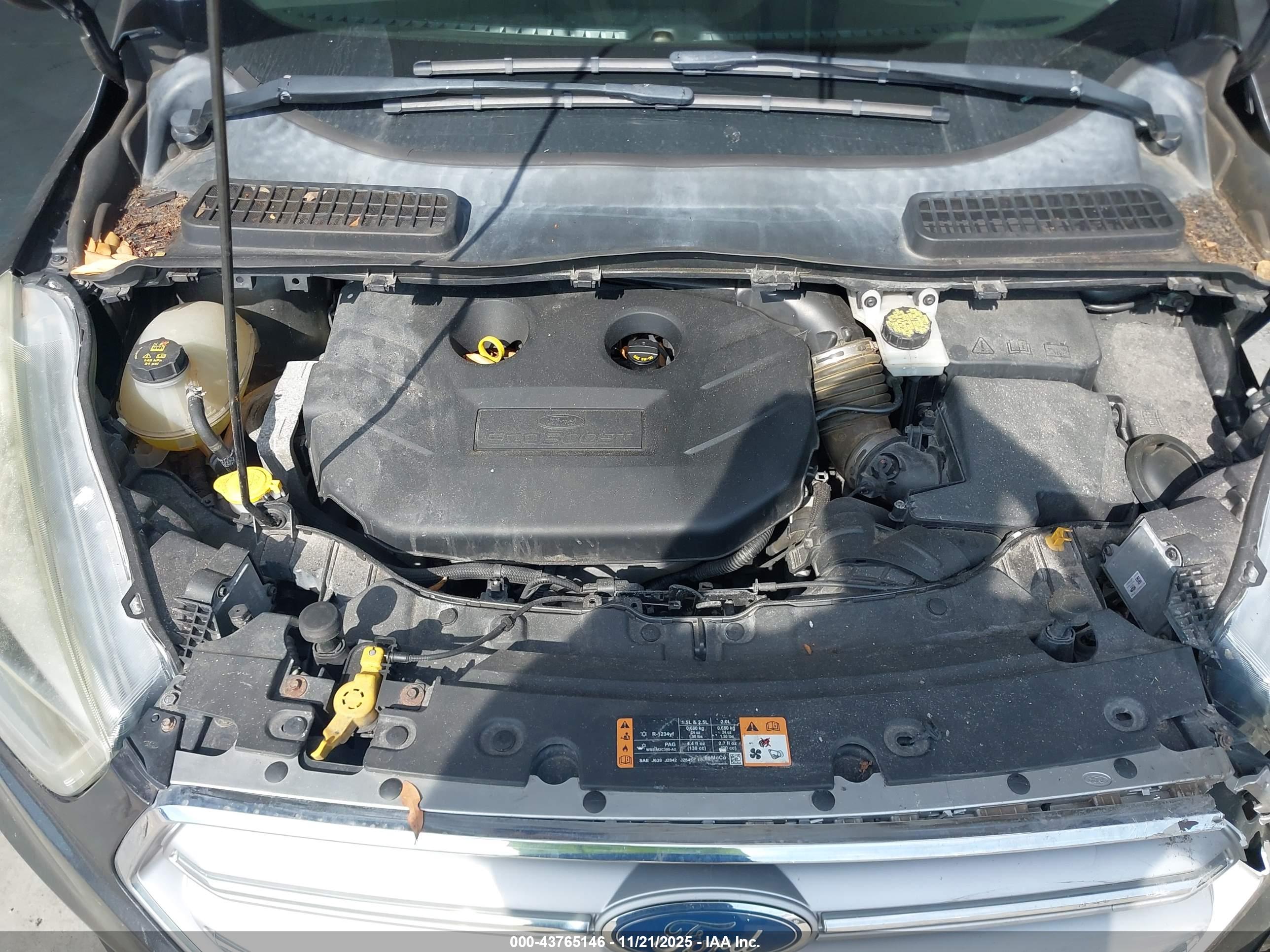 FORD ESCAPE image 10