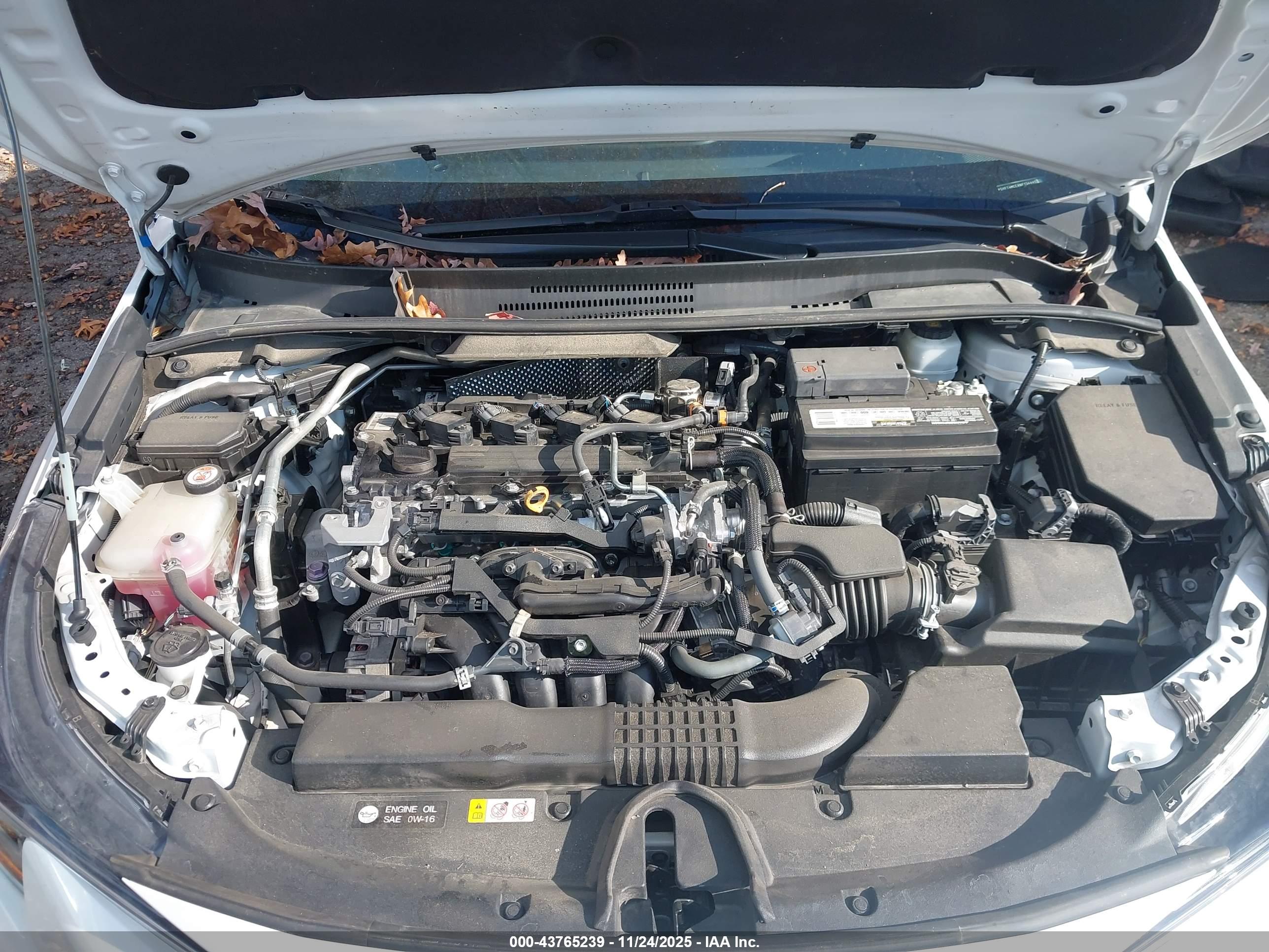 TOYOTA COROLLA image 10