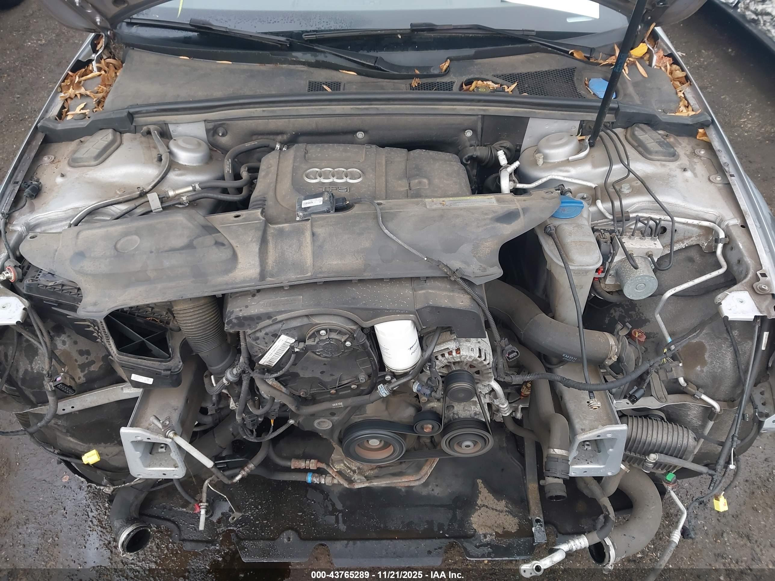 AUDI ALLROAD image 10