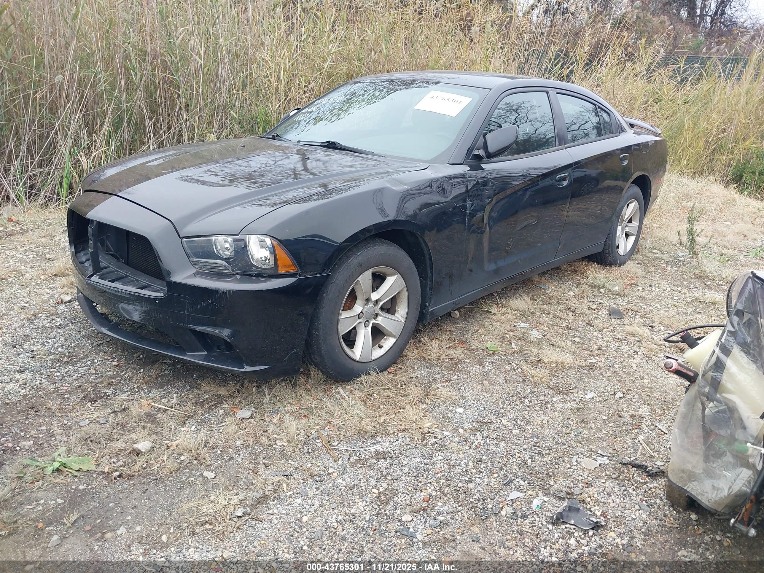 DODGE CHARGER image 2