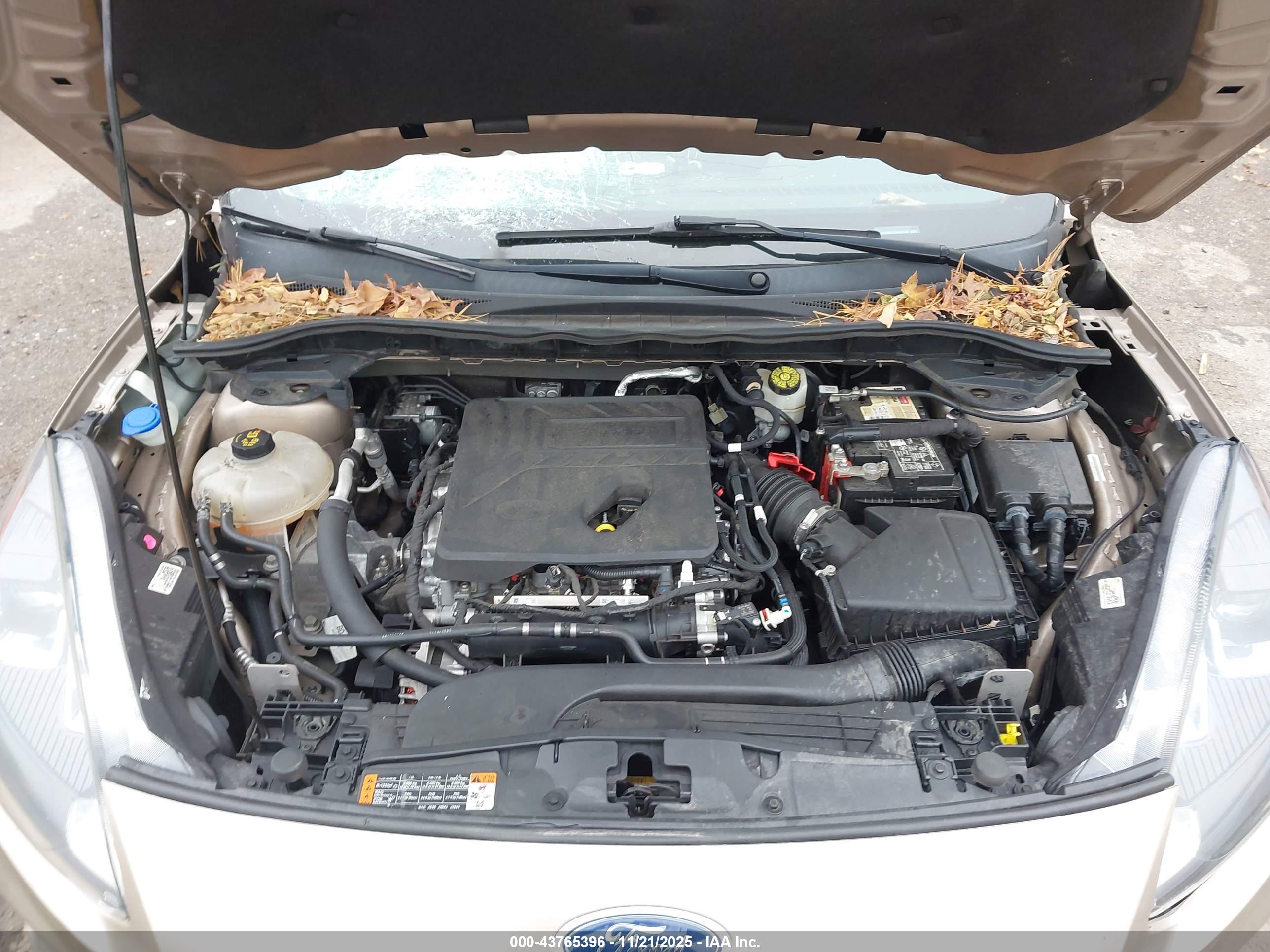 FORD ESCAPE image 10