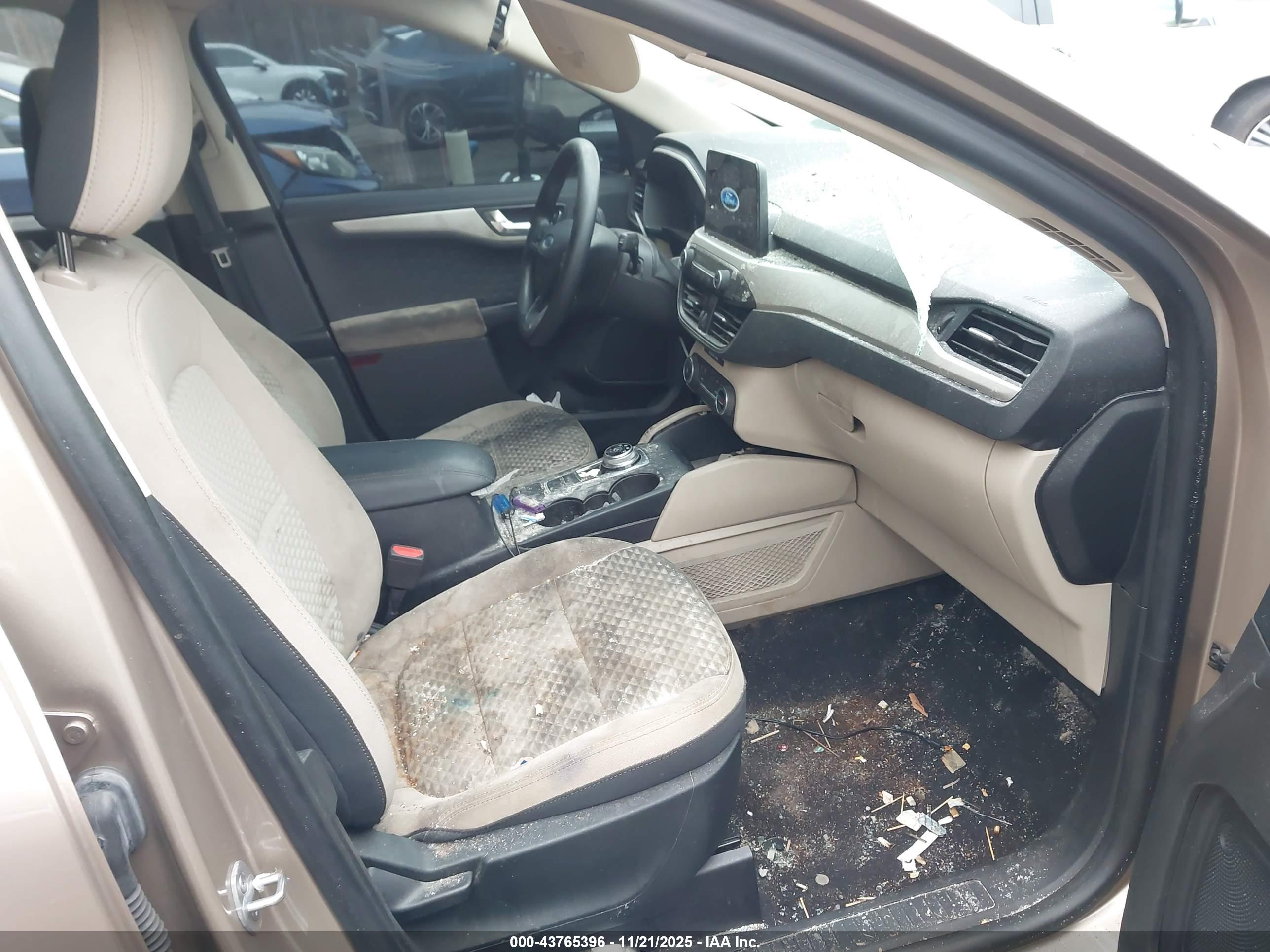 FORD ESCAPE image 5