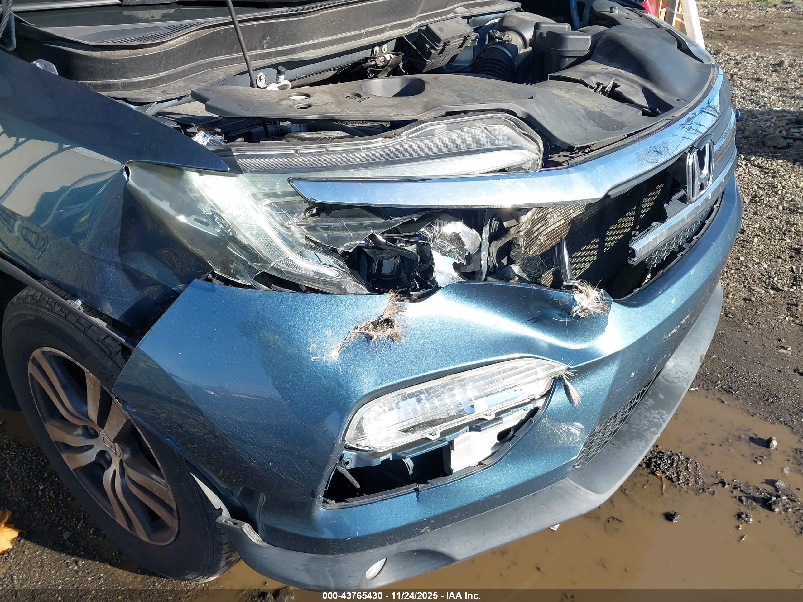HONDA PILOT image 6