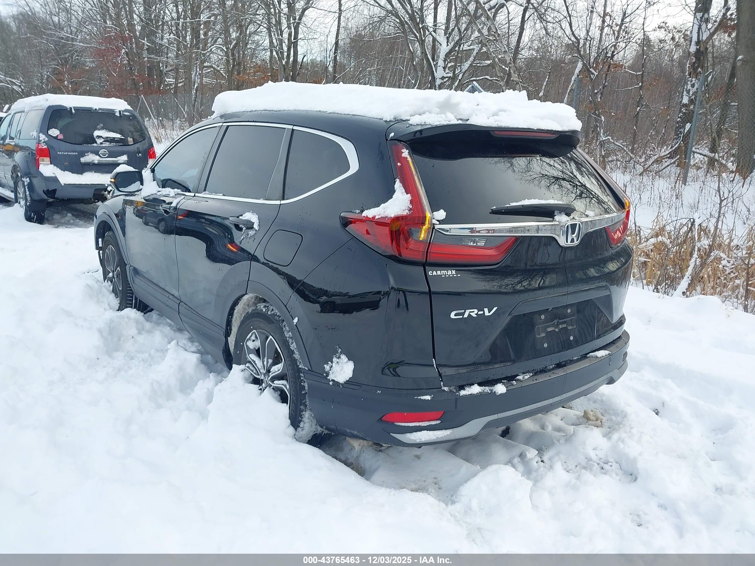 HONDA CR-V image 3