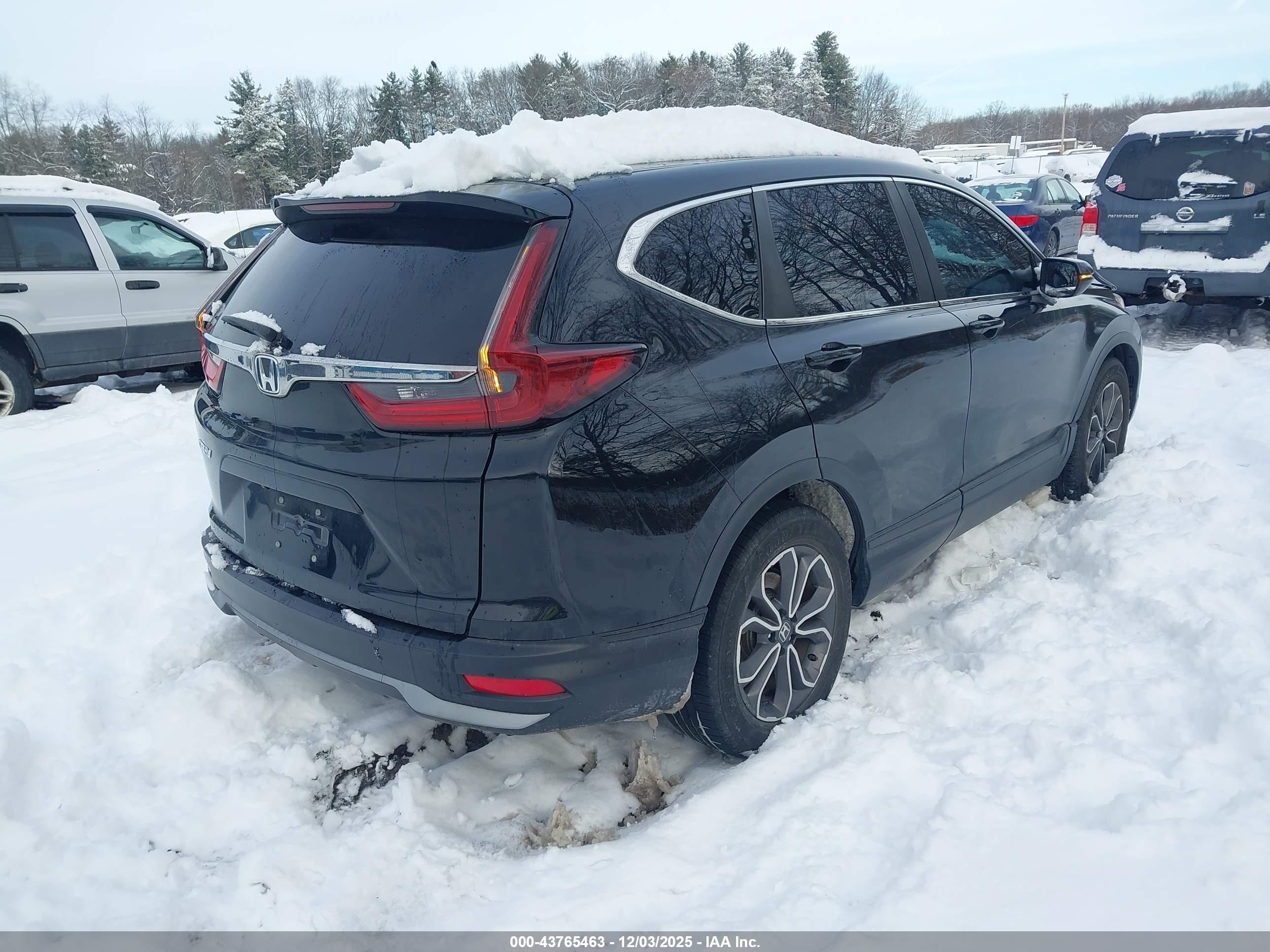 HONDA CR-V image 4