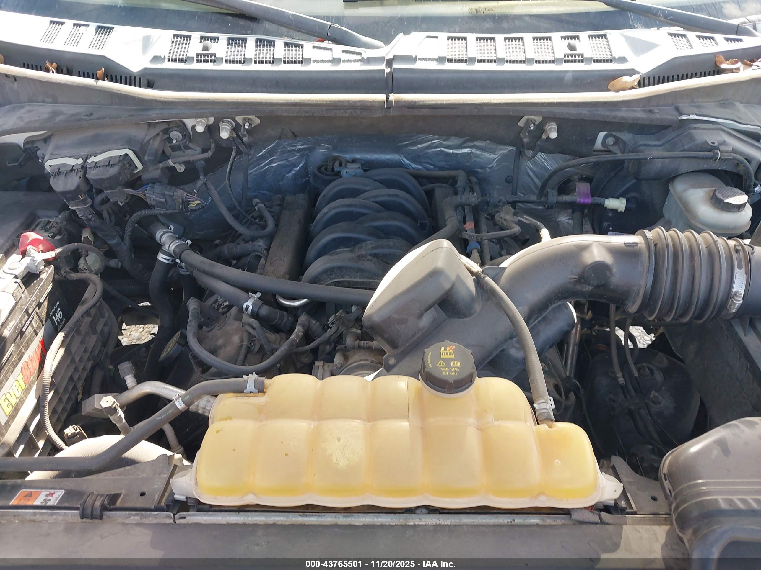 FORD F-150 image 10