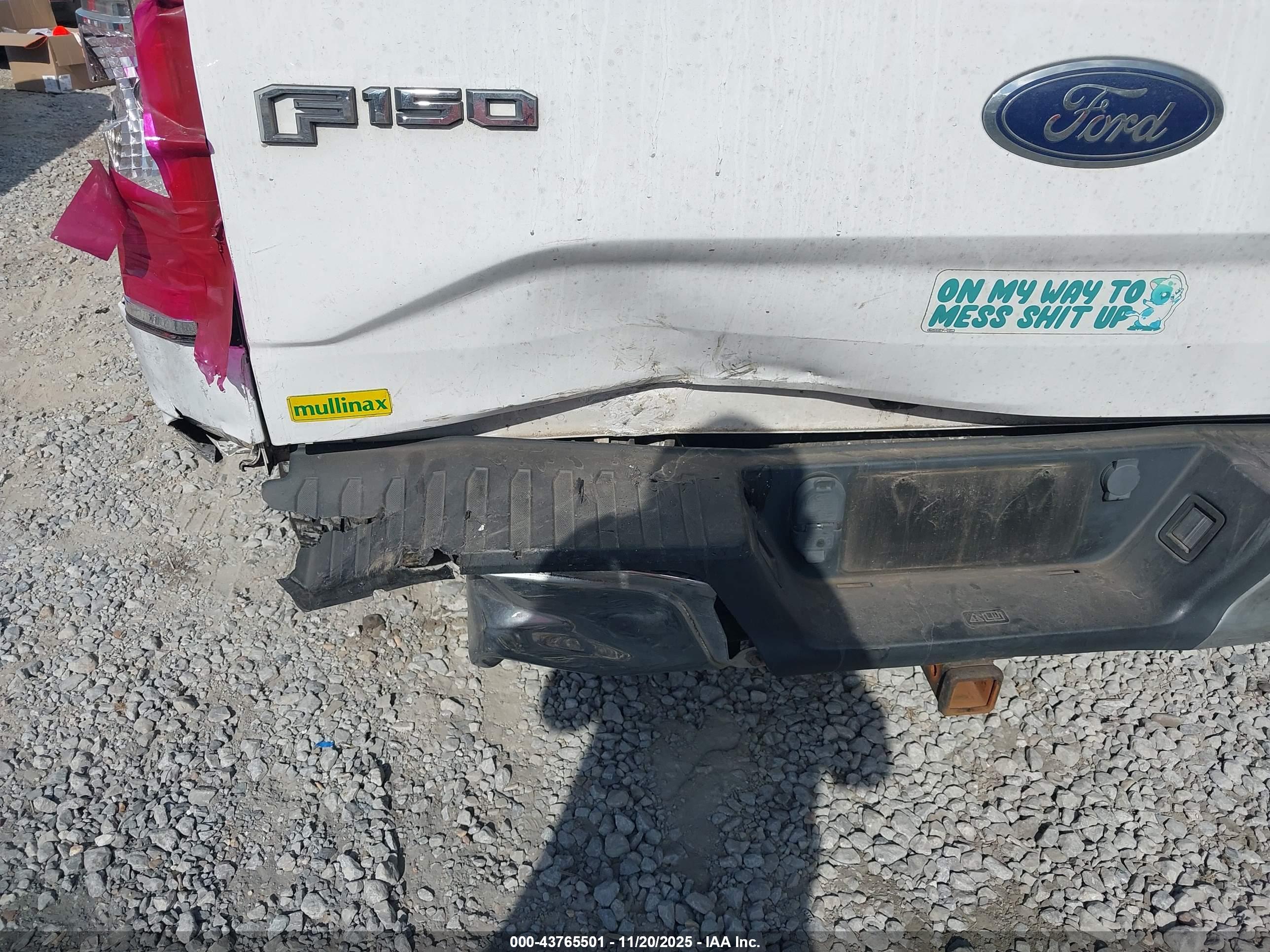 FORD F-150 image 6
