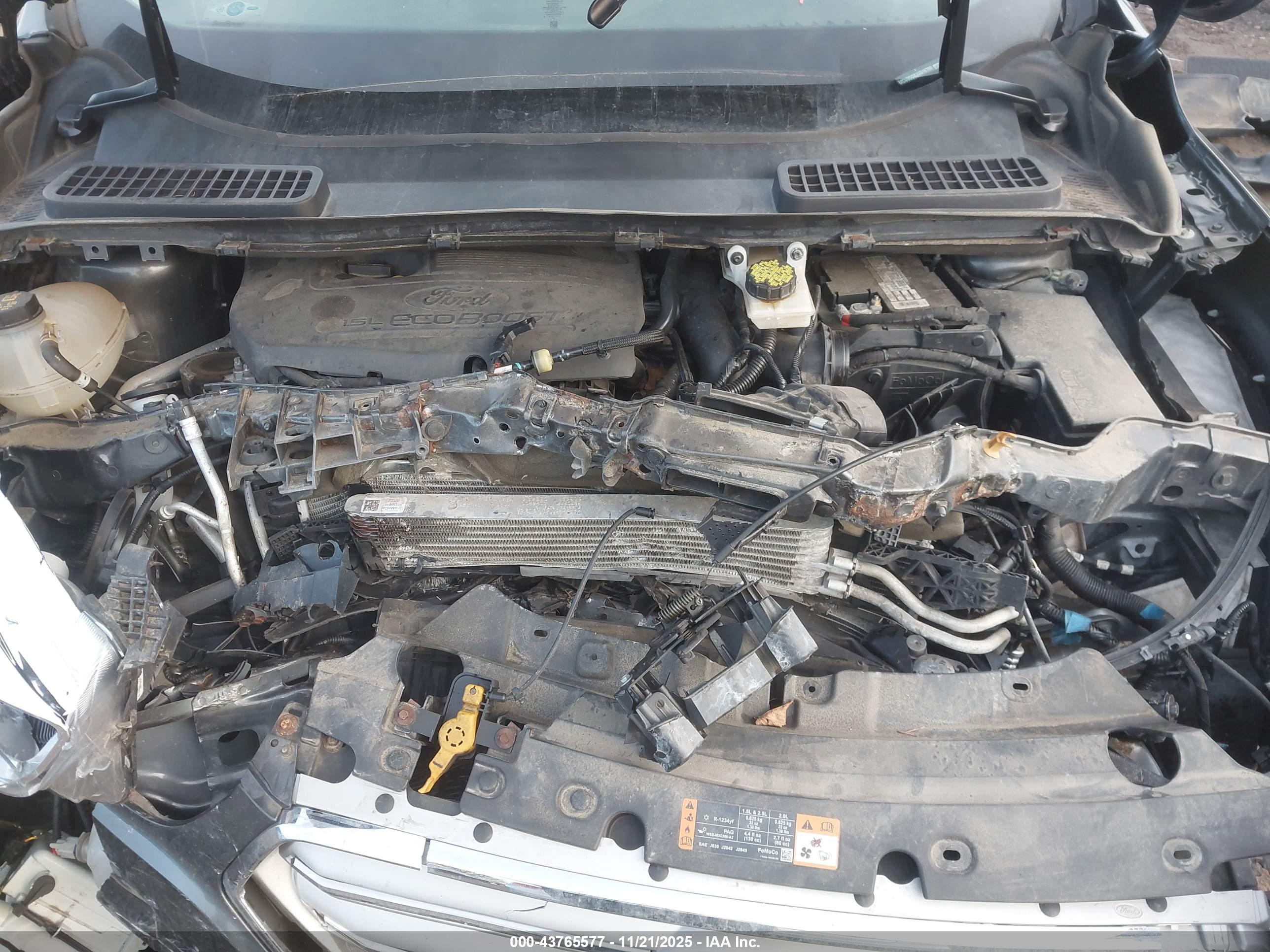 FORD ESCAPE image 10