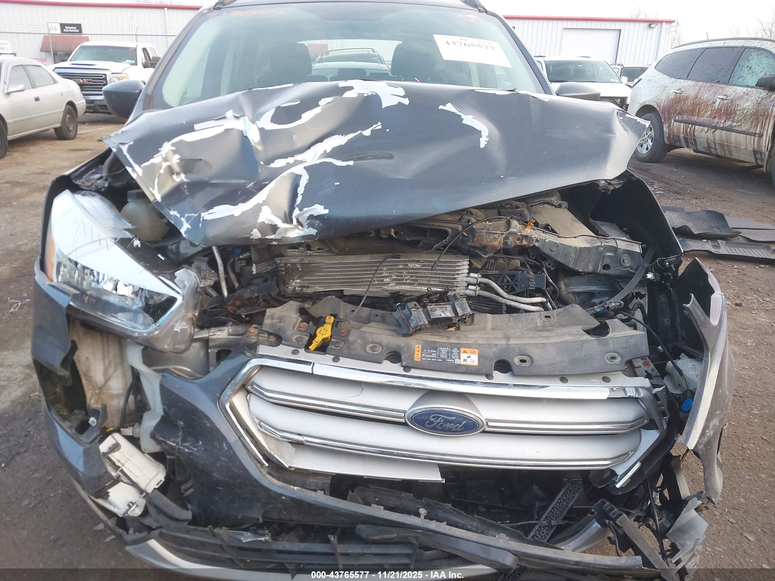 FORD ESCAPE image 6