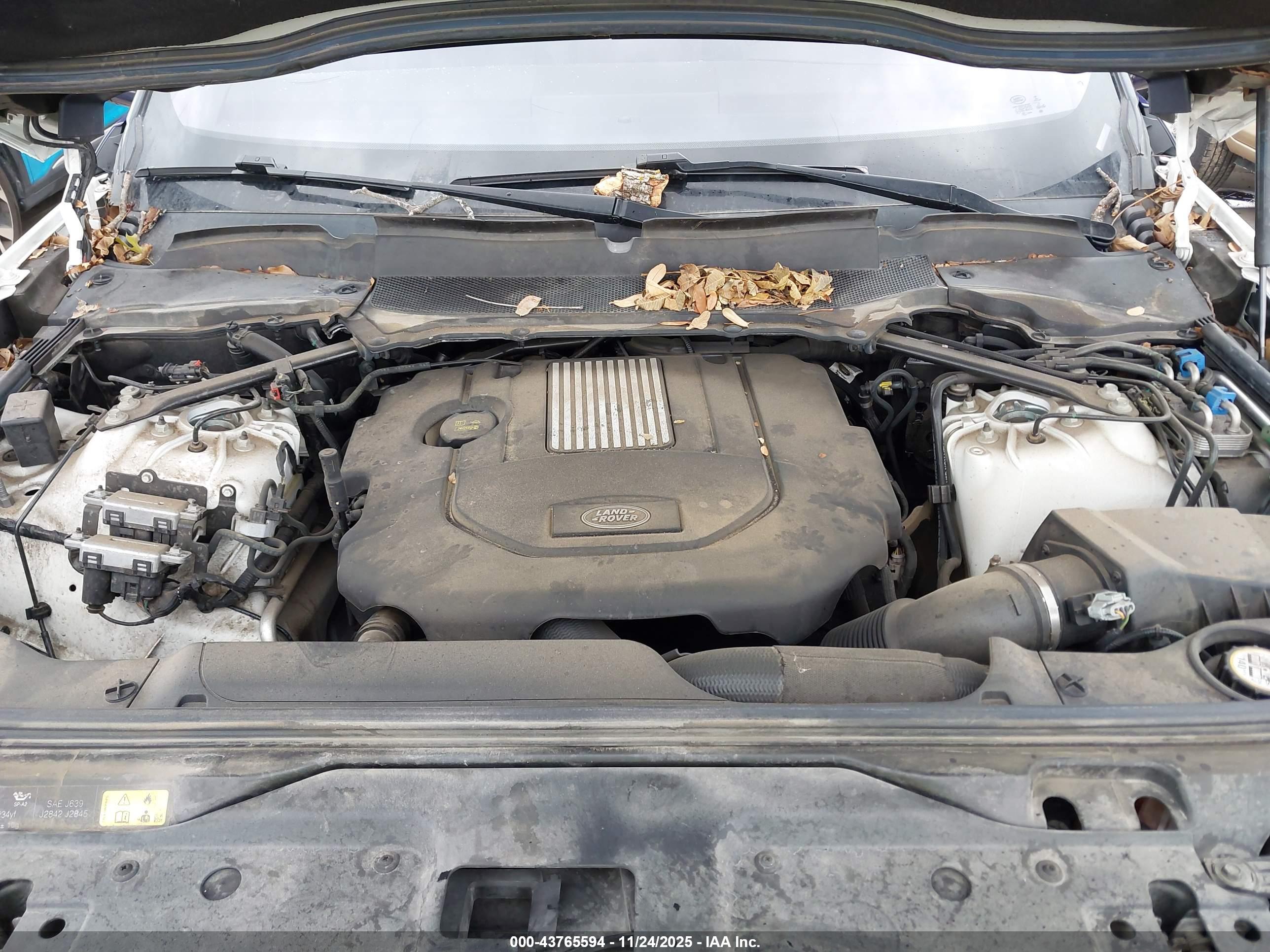 LAND ROVER image 10