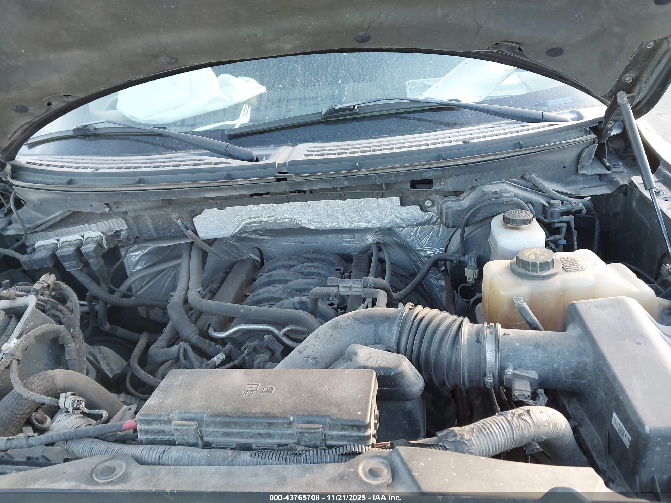 FORD F-150 image 10