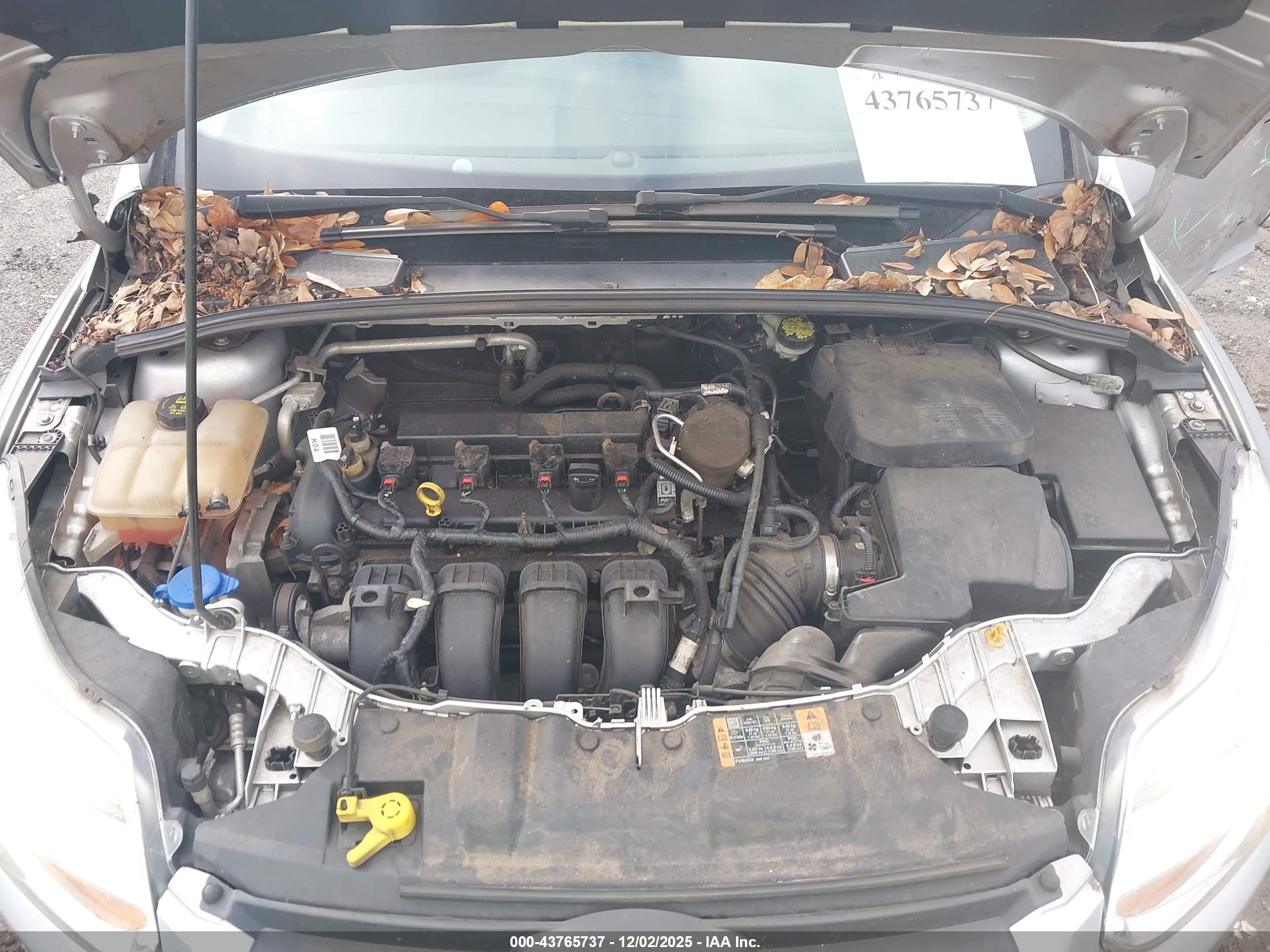 FORD FOCUS image 10