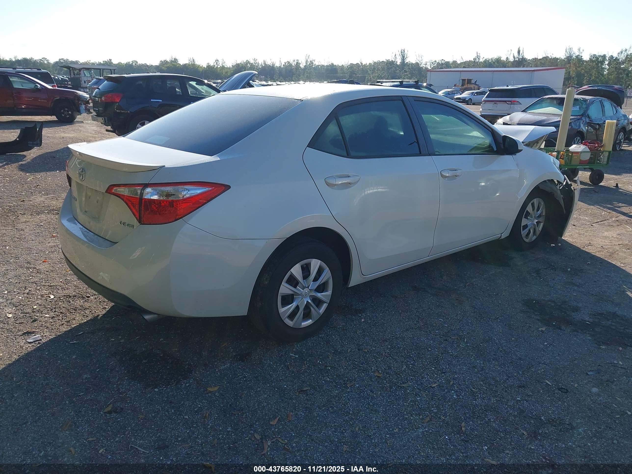 TOYOTA COROLLA image 4