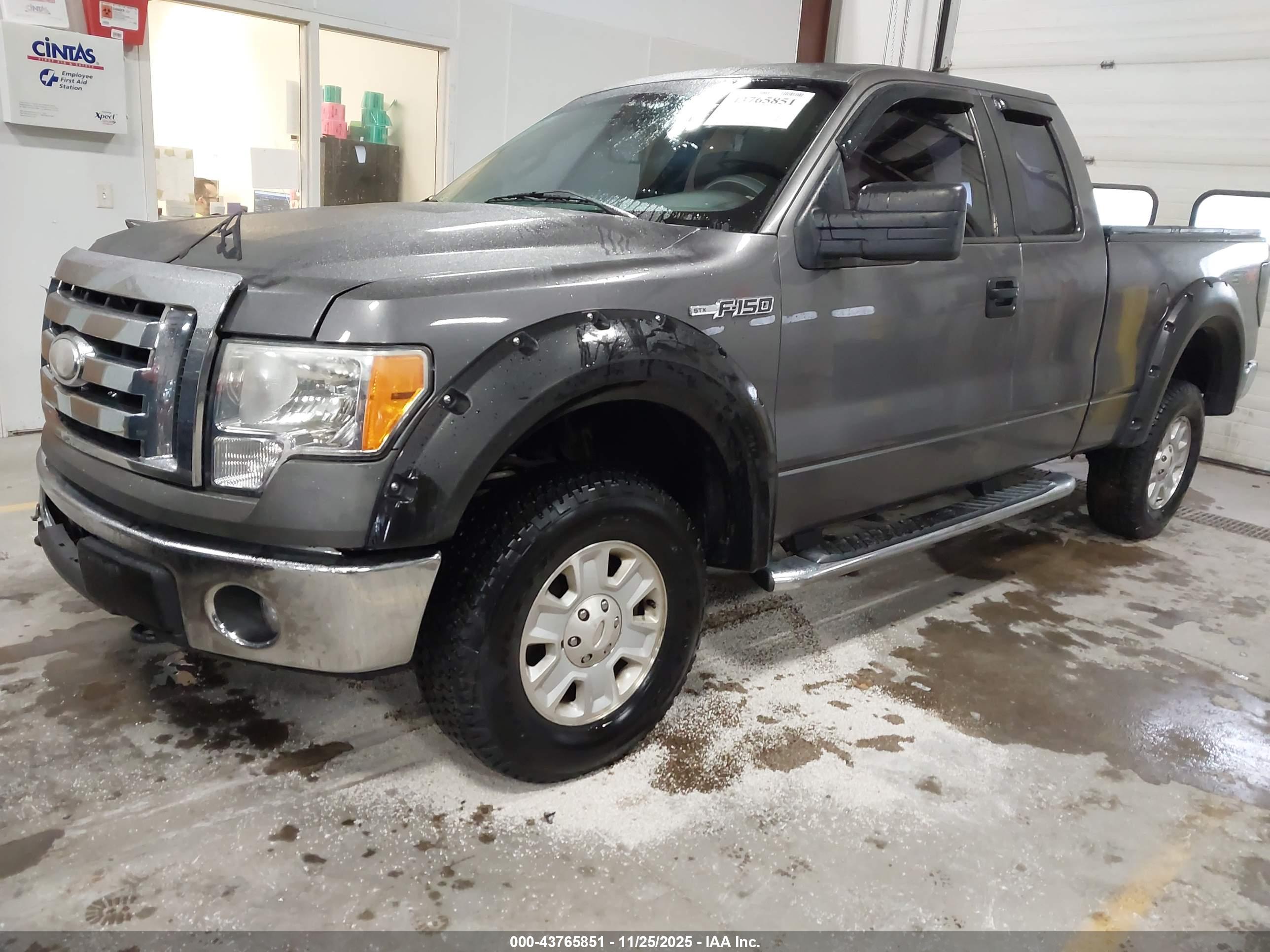 FORD F-150 image 2