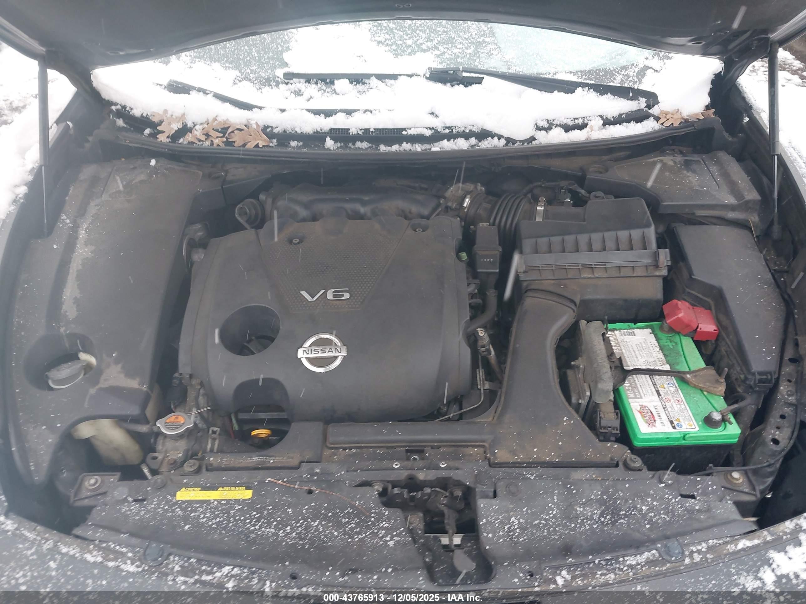 NISSAN MAXIMA image 10