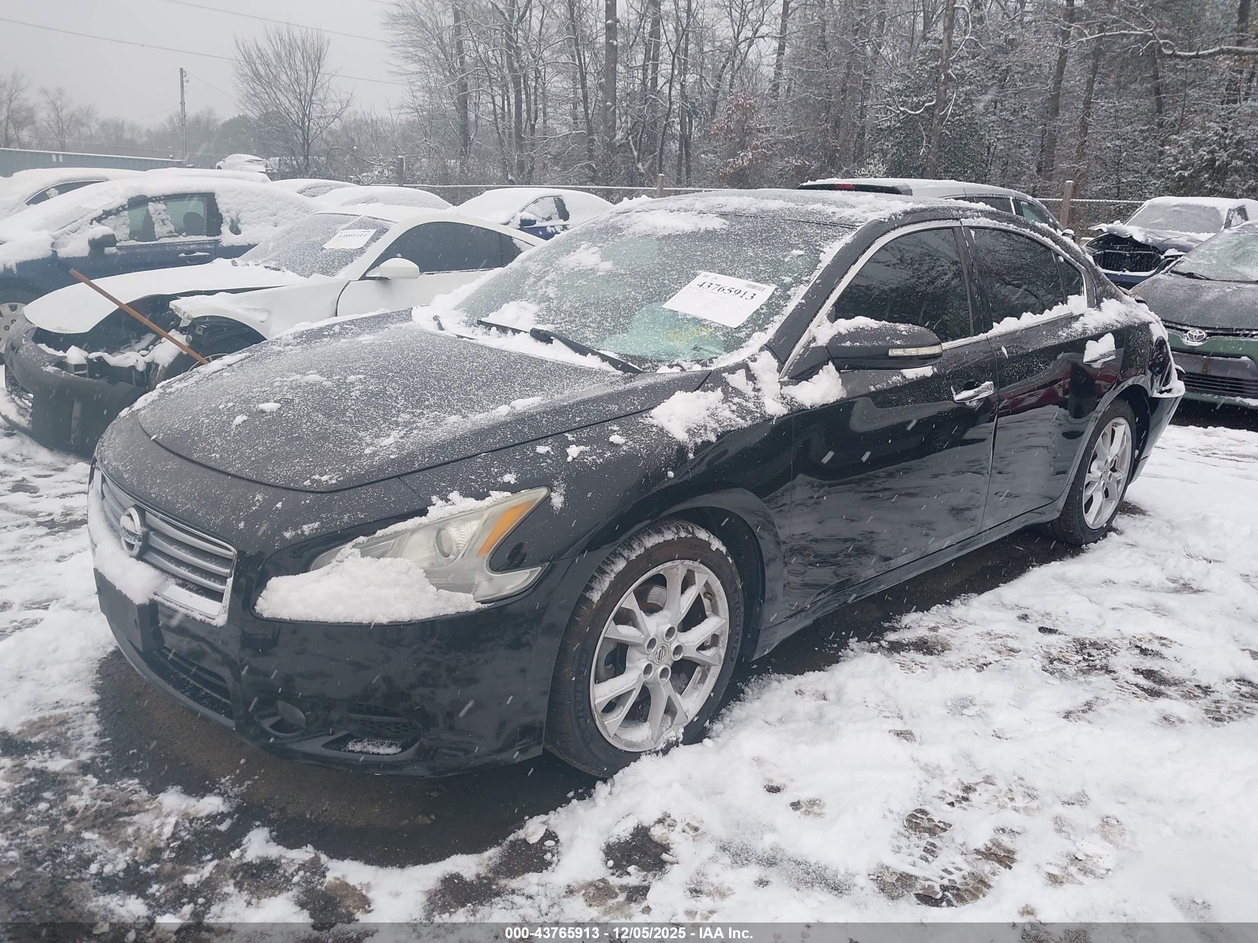 NISSAN MAXIMA image 2