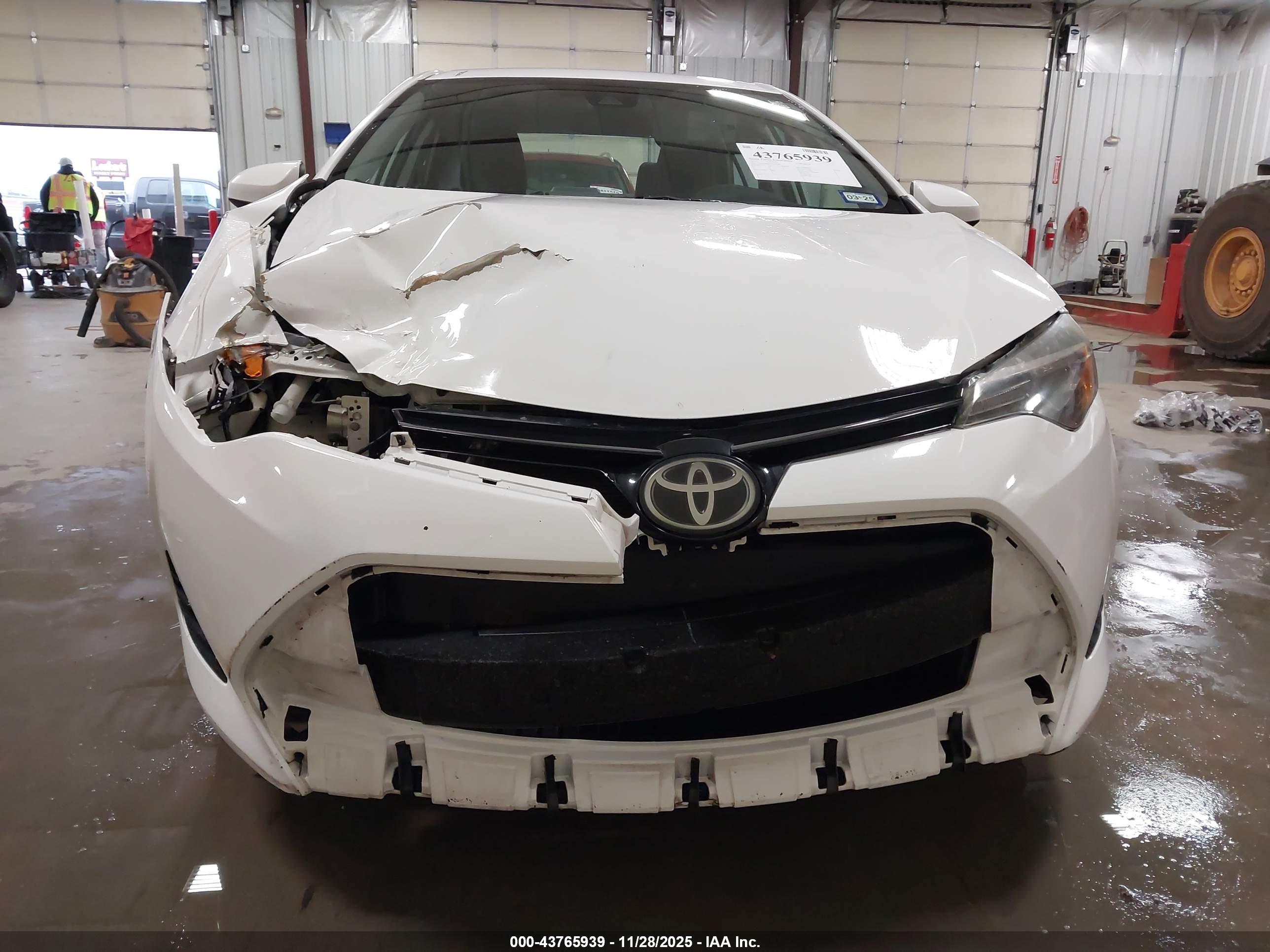 TOYOTA COROLLA image 6