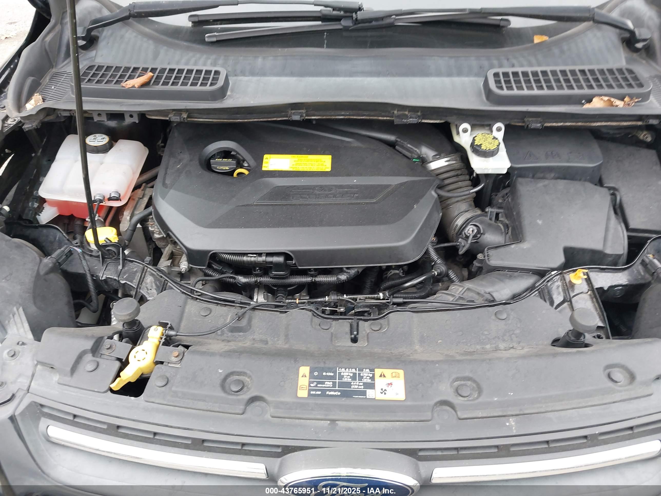 FORD ESCAPE image 10