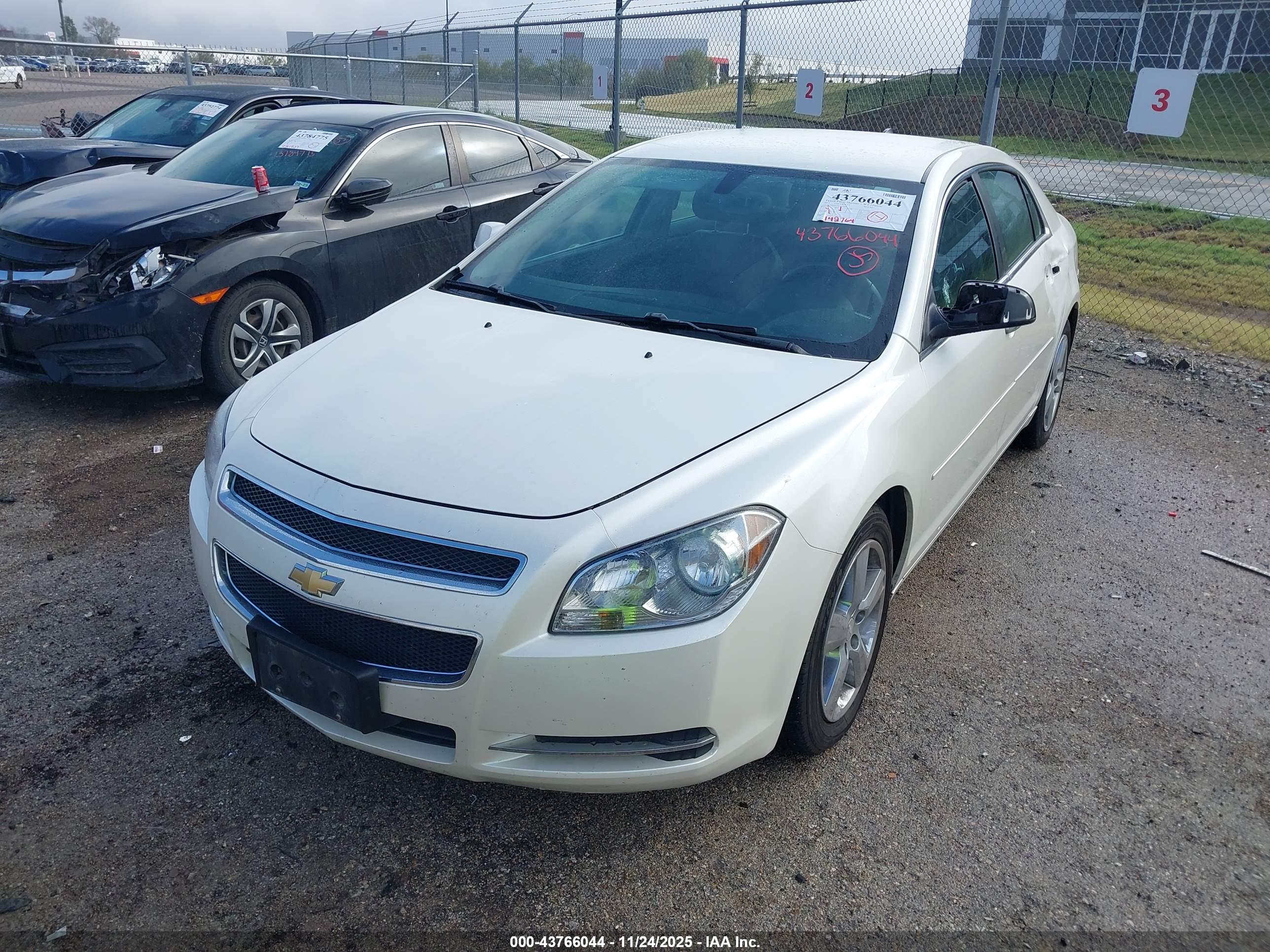 CHEVROLET MALIBU image 2