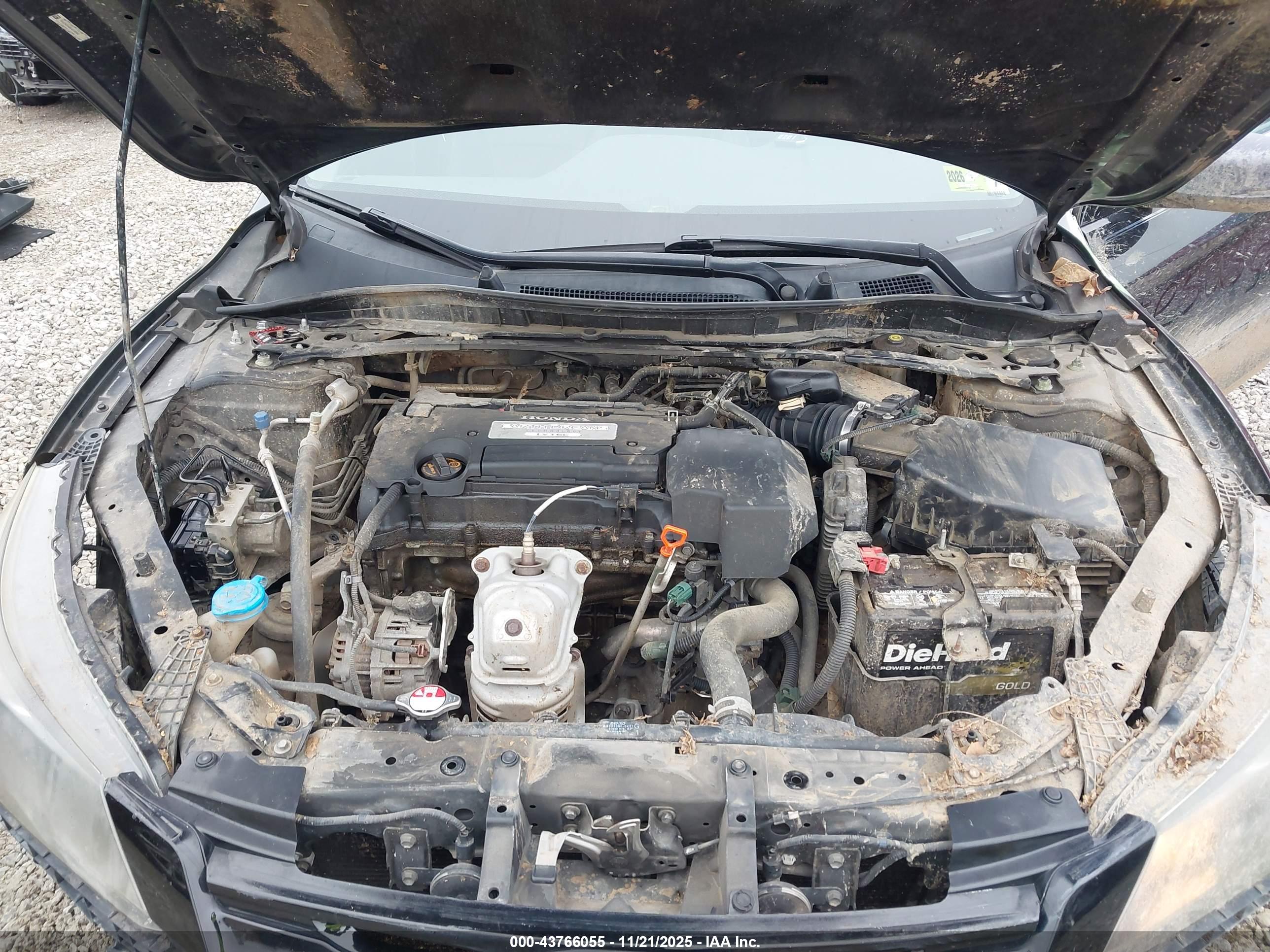 HONDA ACCORD image 10