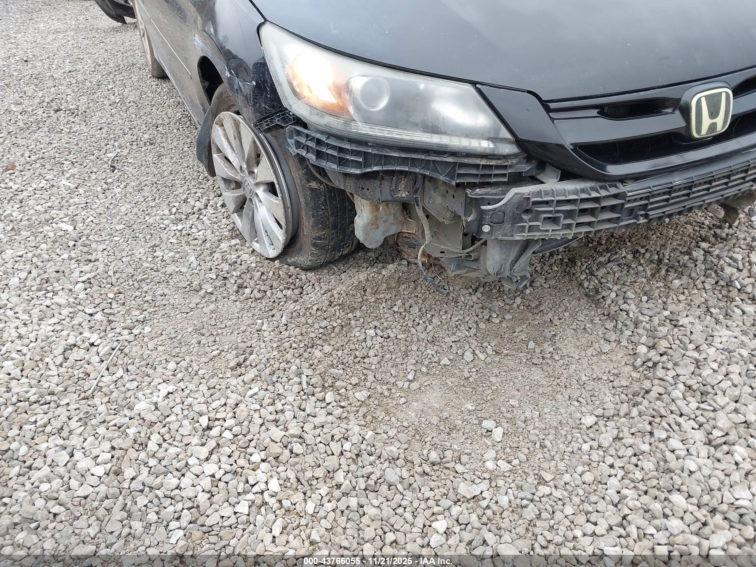 HONDA ACCORD image 6