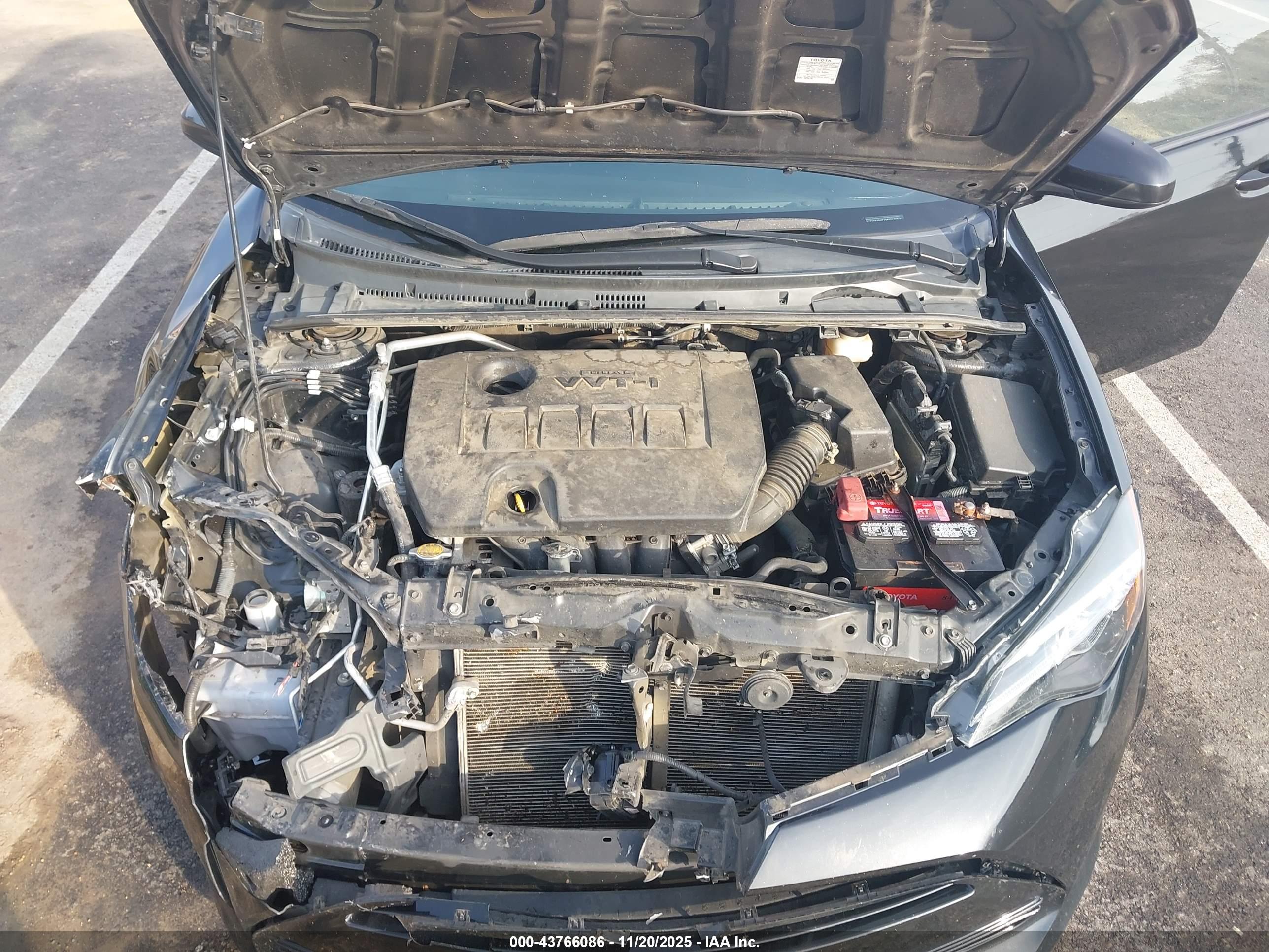 TOYOTA COROLLA image 10
