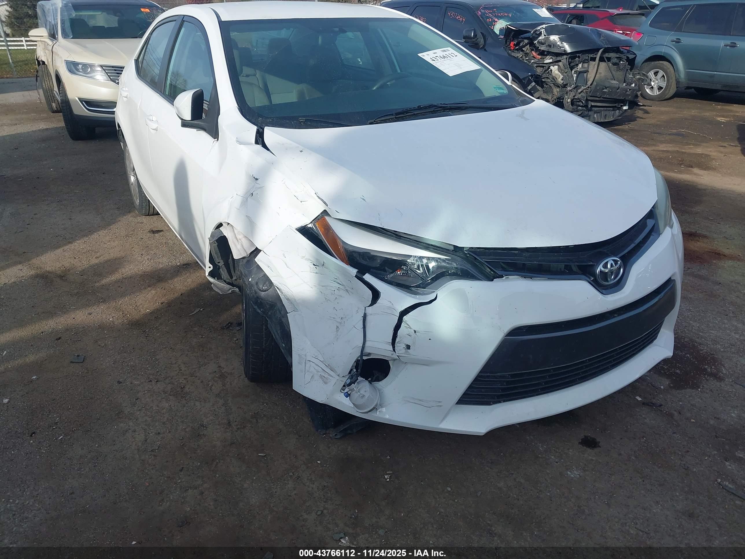 TOYOTA COROLLA image 6