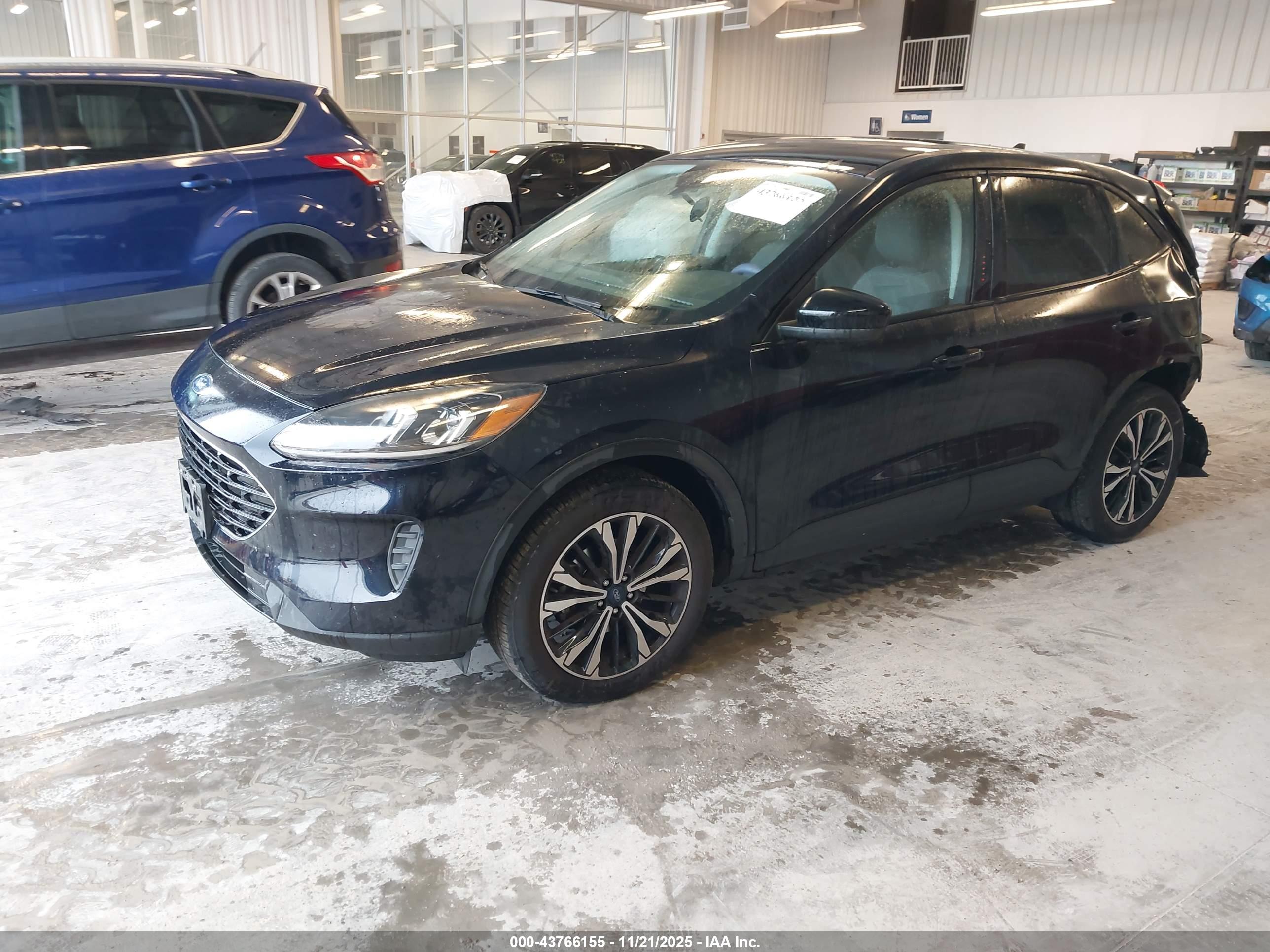FORD ESCAPE image 2