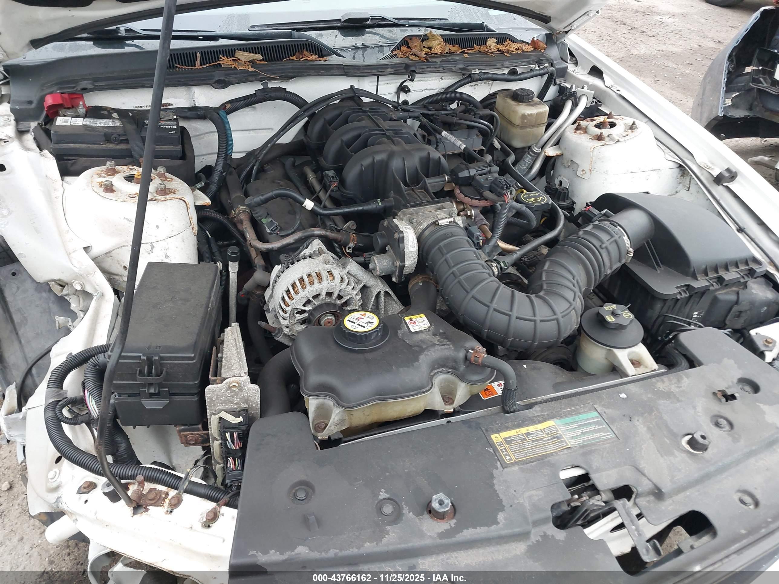 FORD MUSTANG image 10