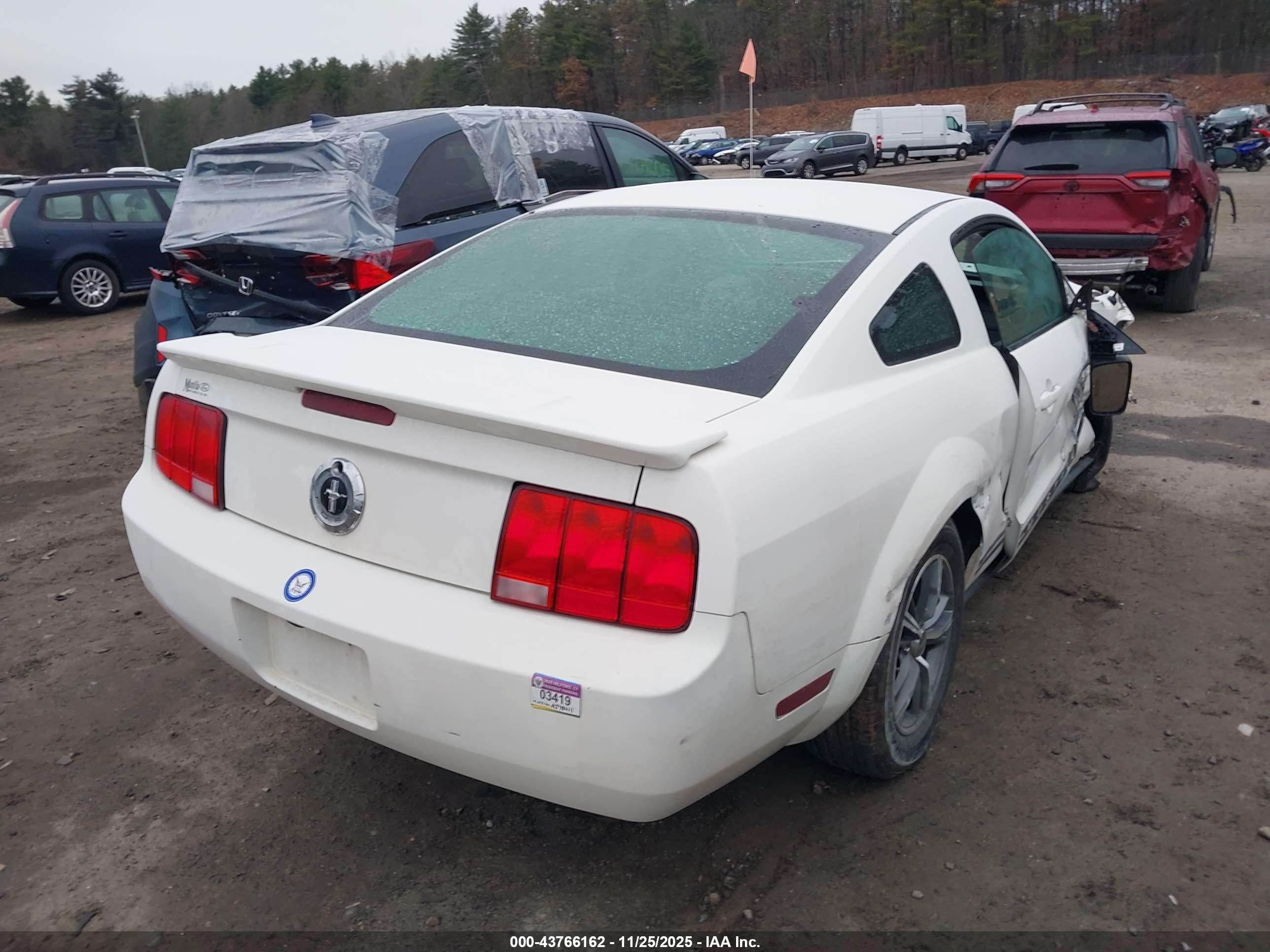 FORD MUSTANG image 4