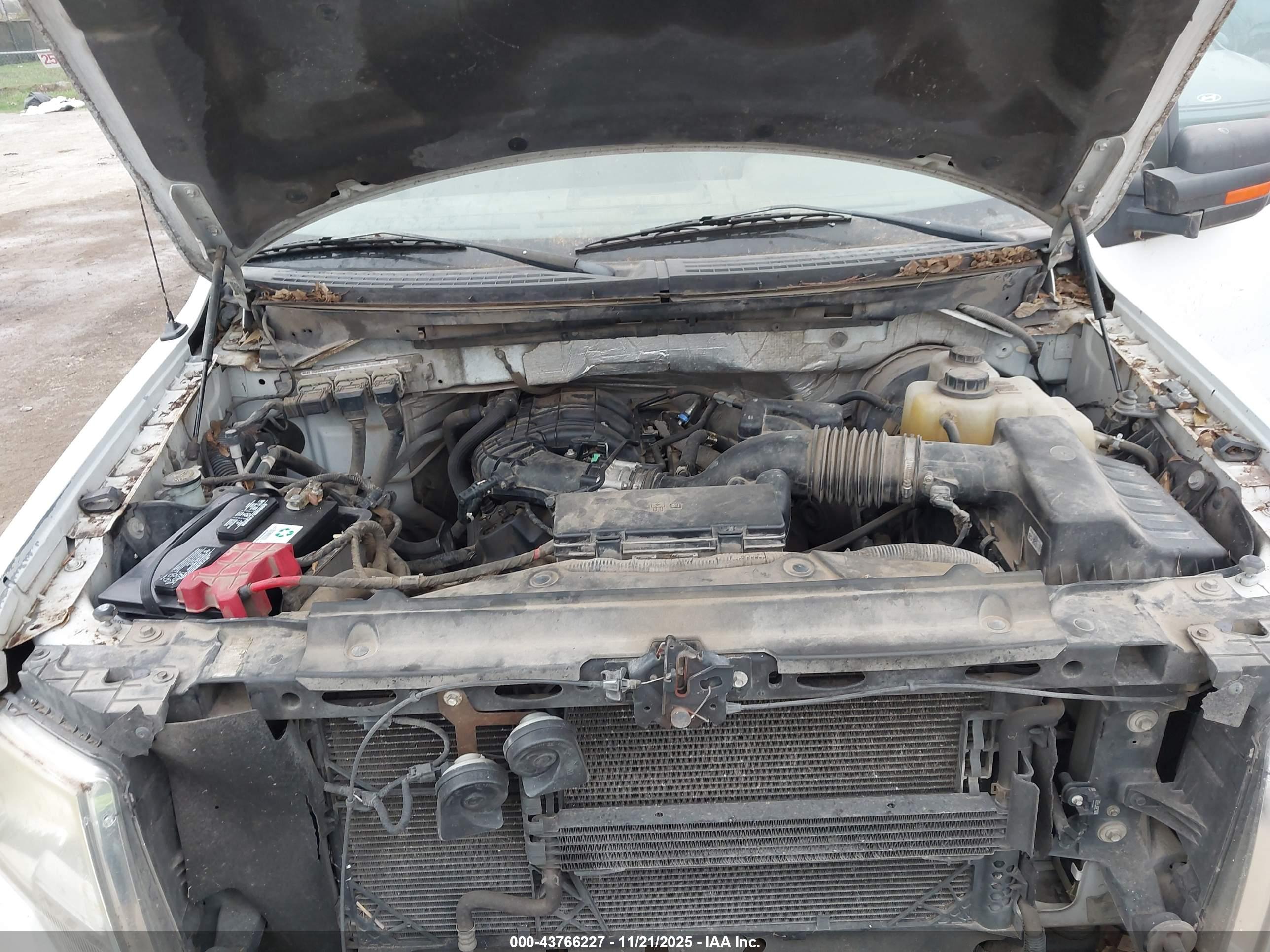 FORD F-150 image 10