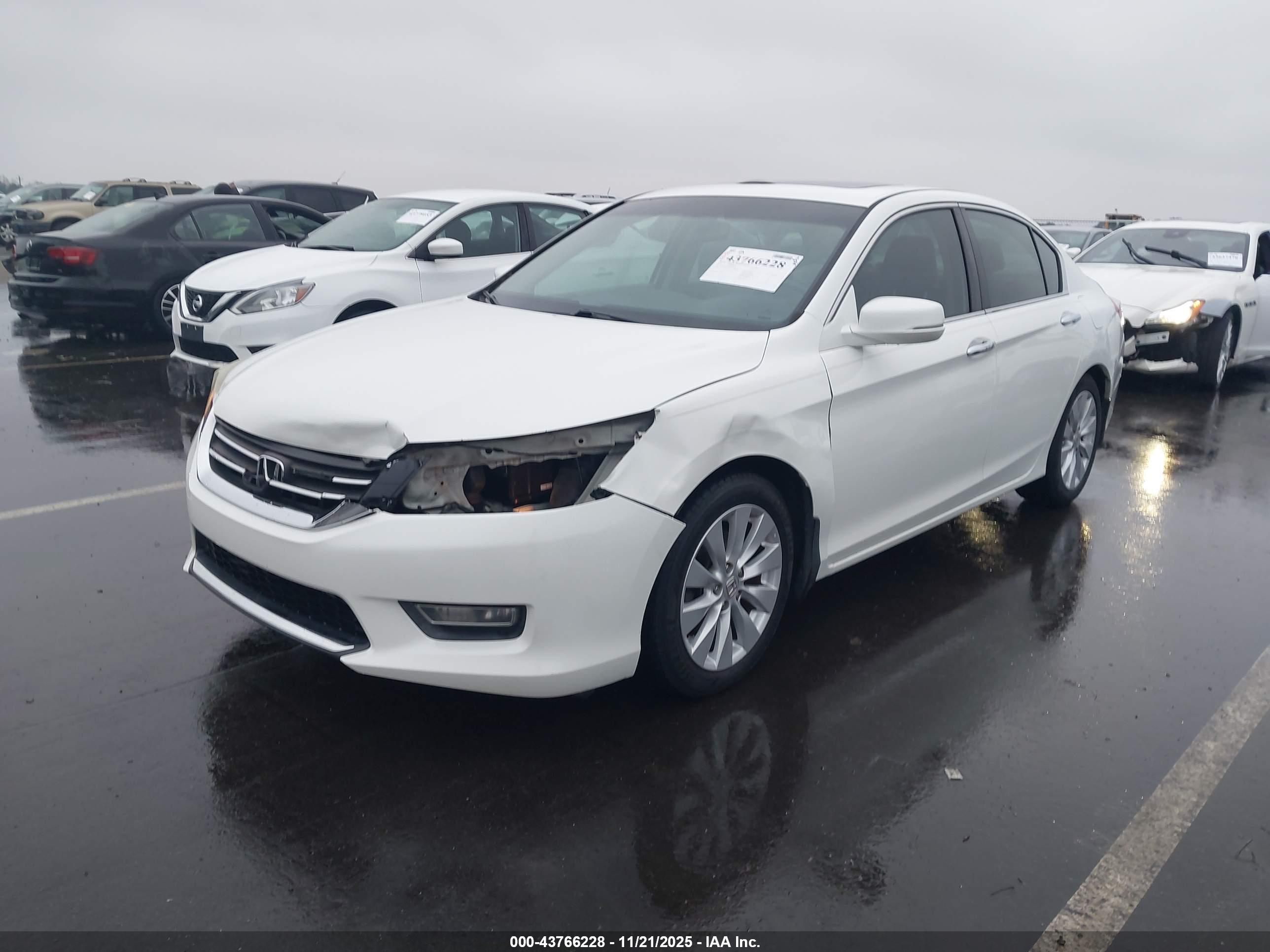 HONDA ACCORD image 2
