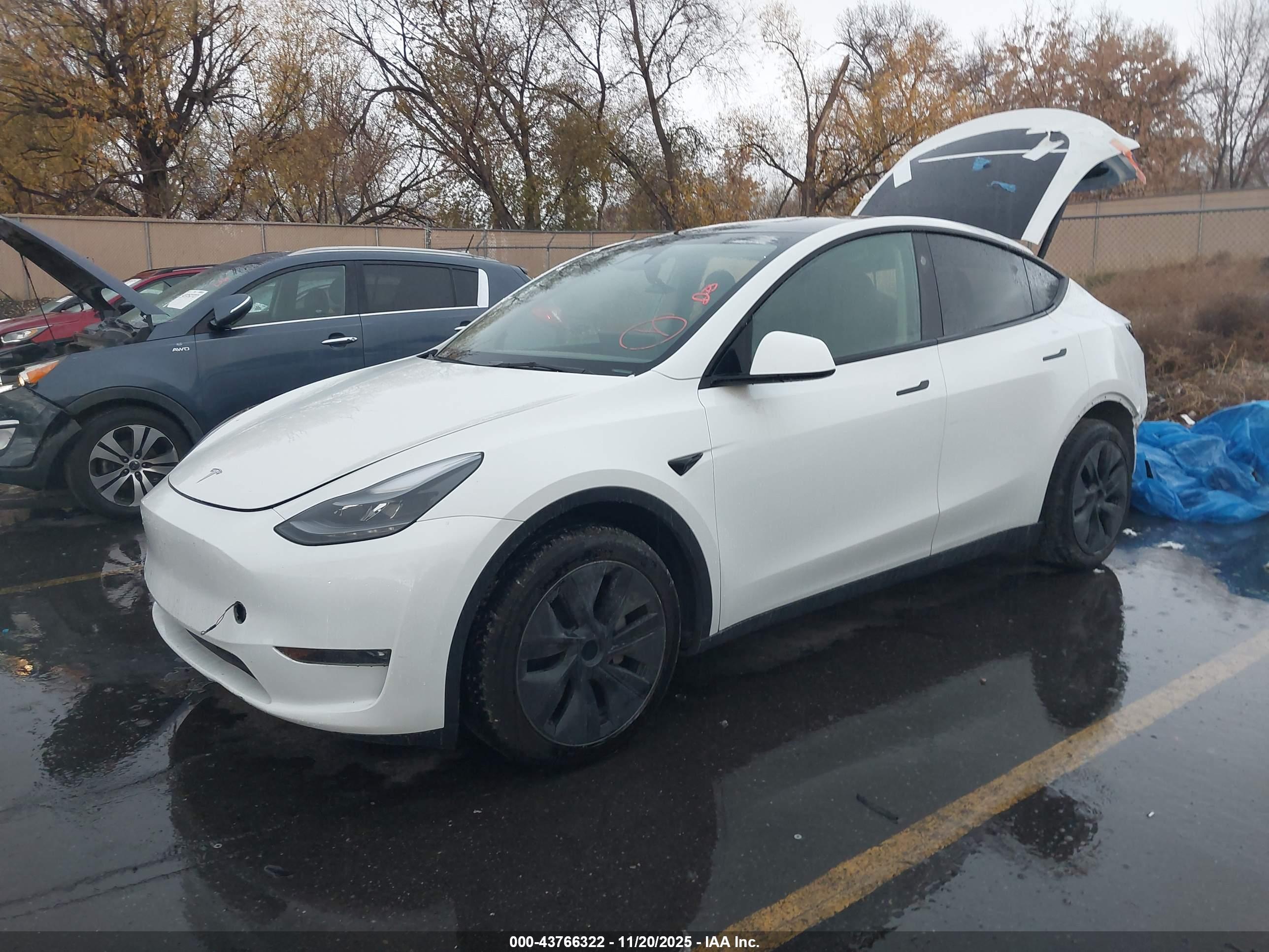 TESLA MODEL image 2