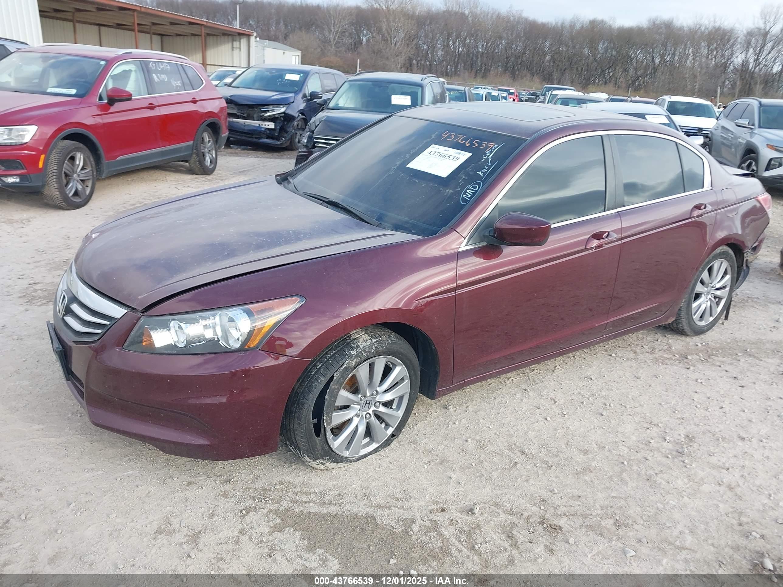 HONDA ACCORD image 2