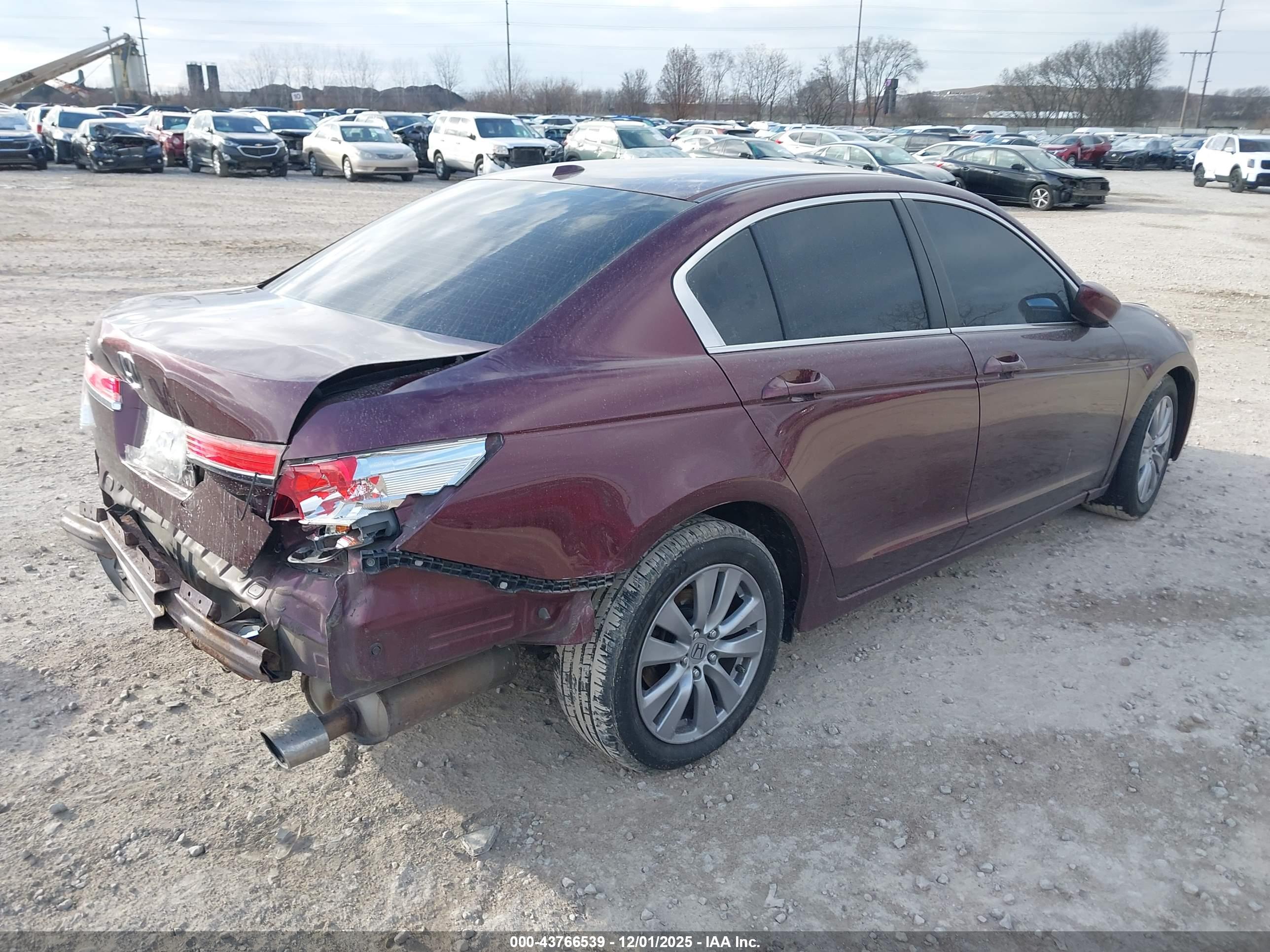 HONDA ACCORD image 4
