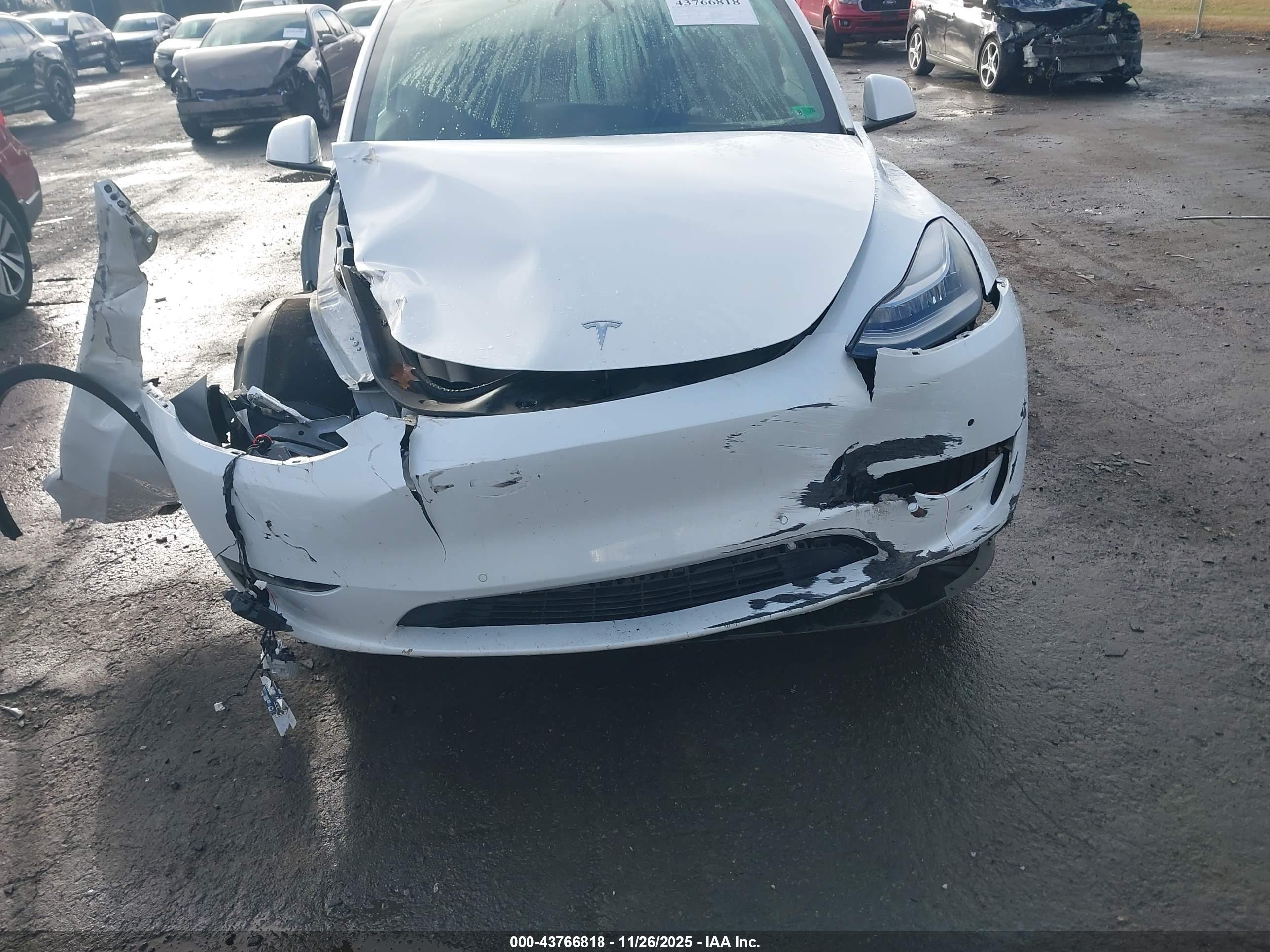TESLA MODEL image 6