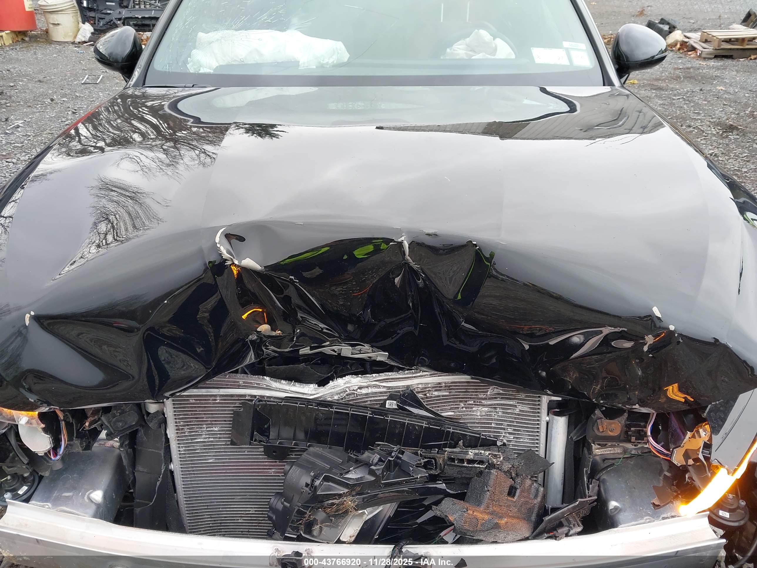KIA K5 image 10