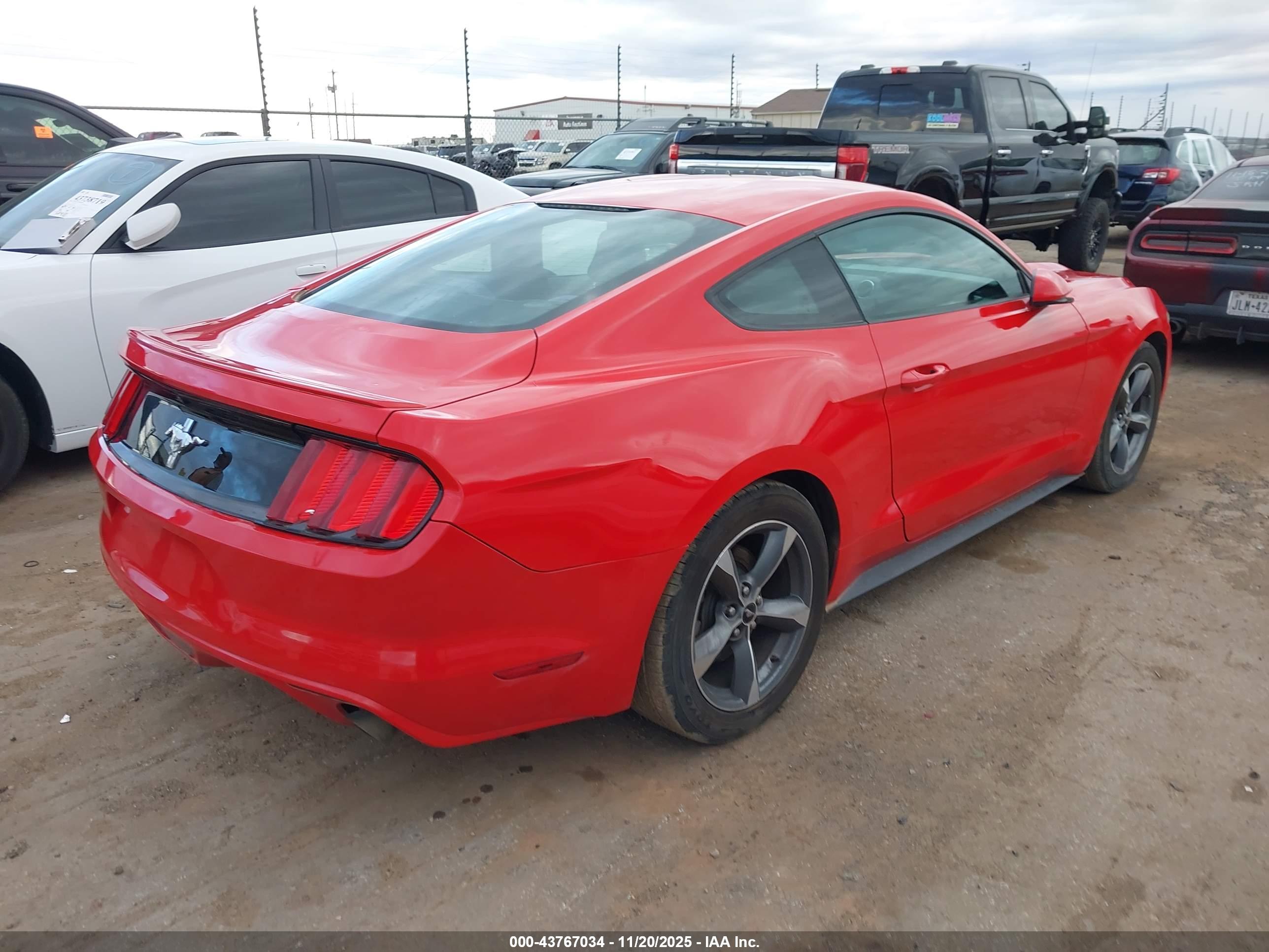 FORD MUSTANG image 4