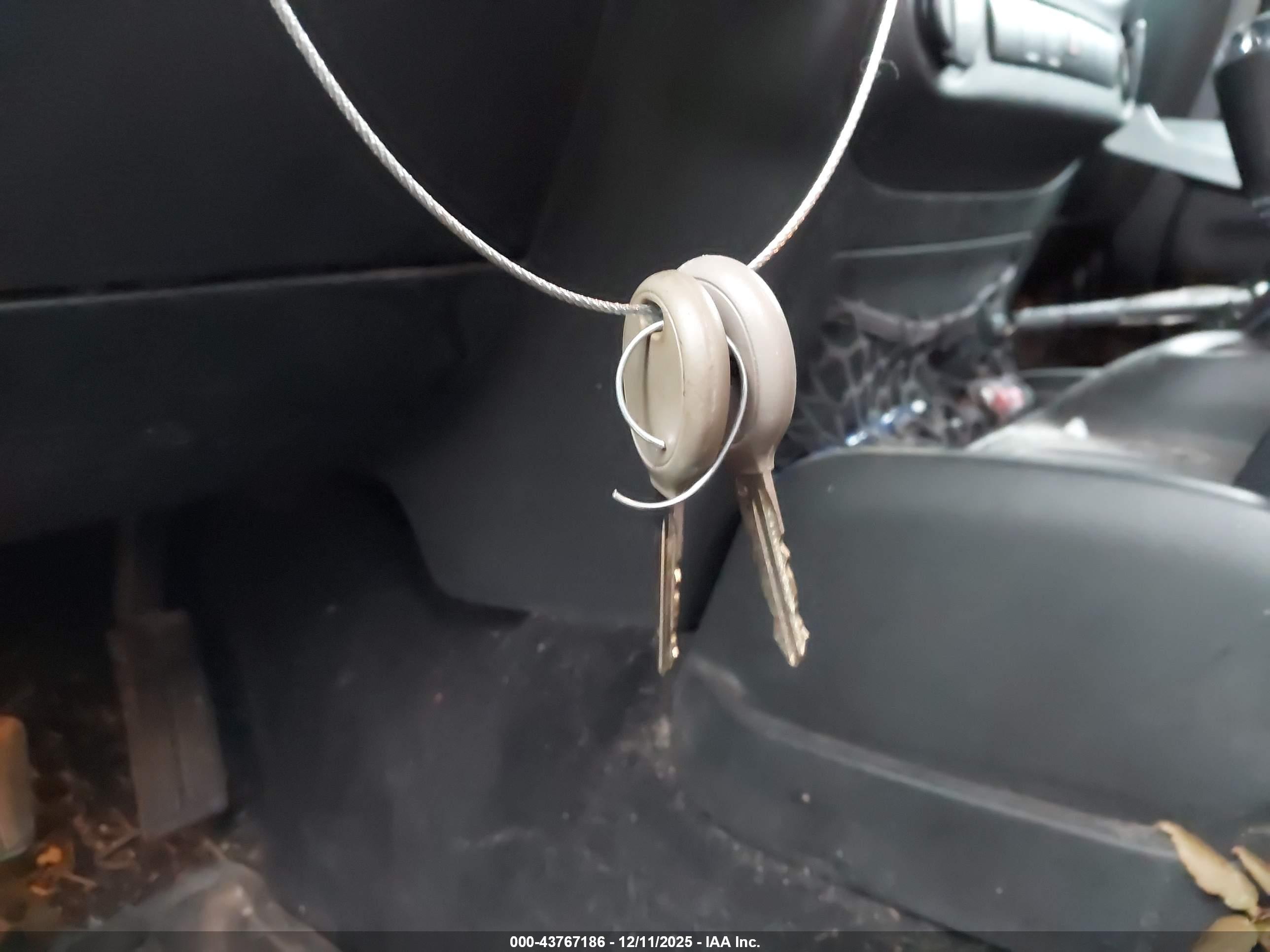 JEEP WRANGLER image 11
